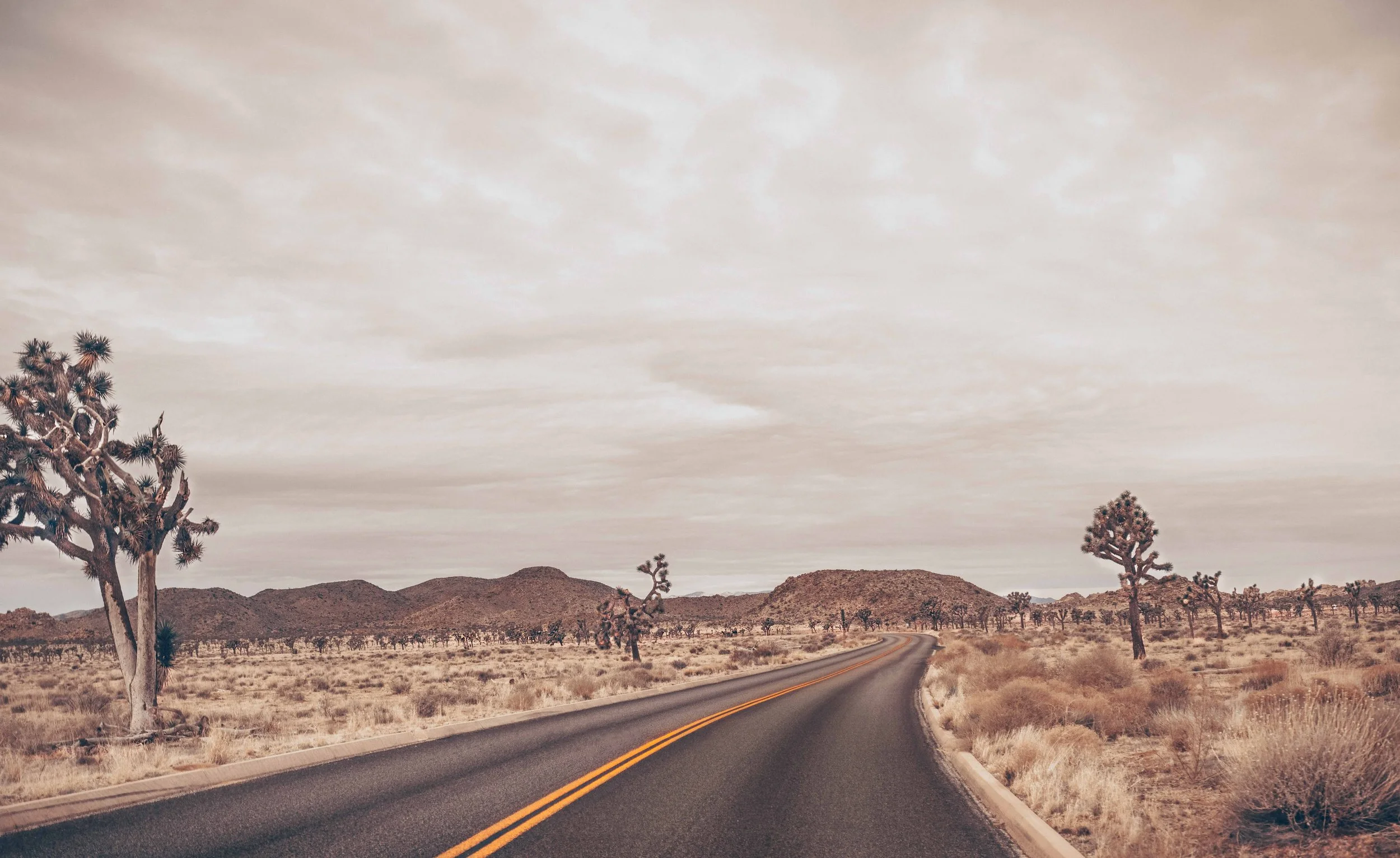gold-dusk-joshua-tree-desert-road-art-print.jpg