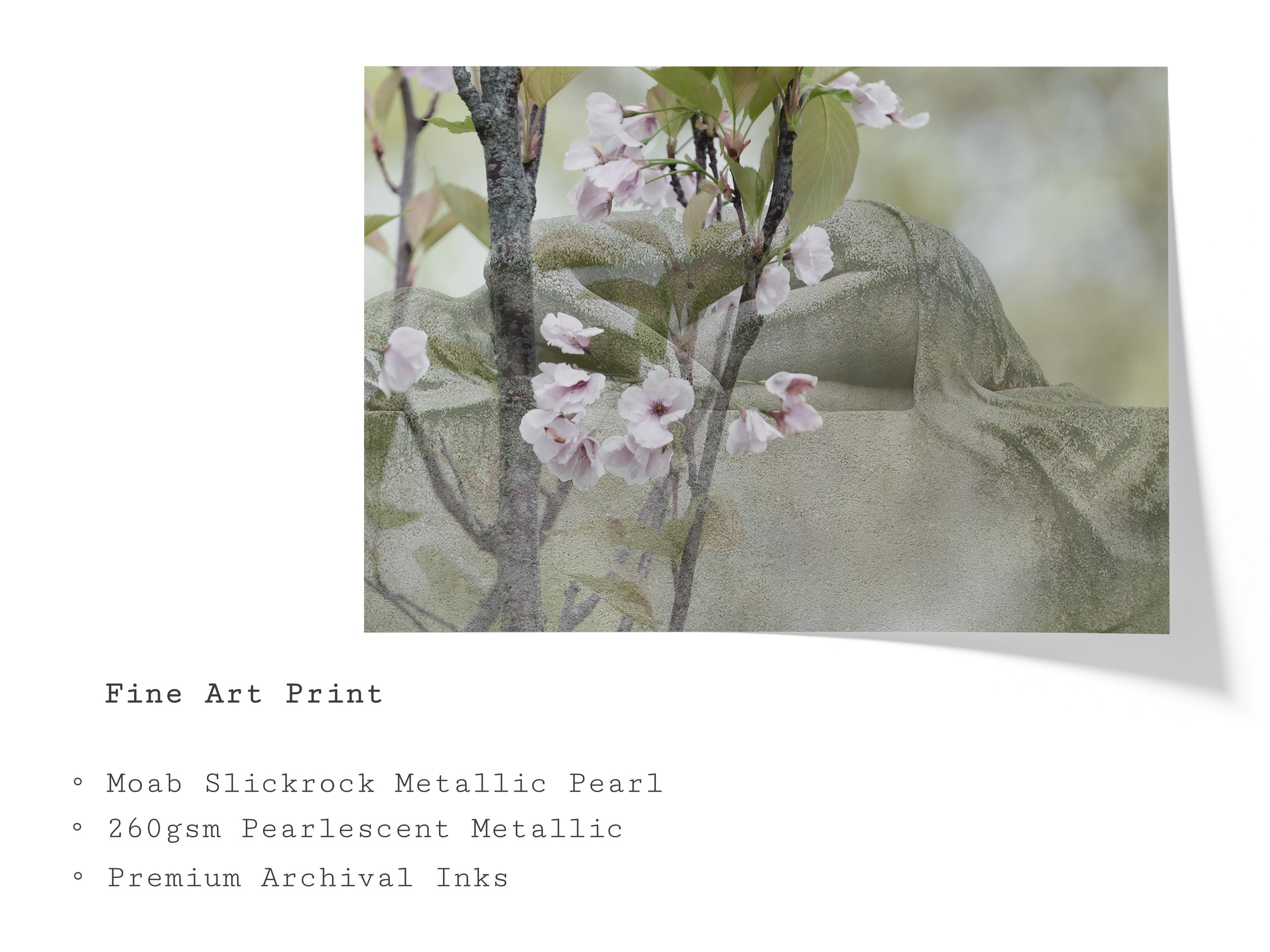 mourning-cherry-blossom-statue-fine-art-print.jpg