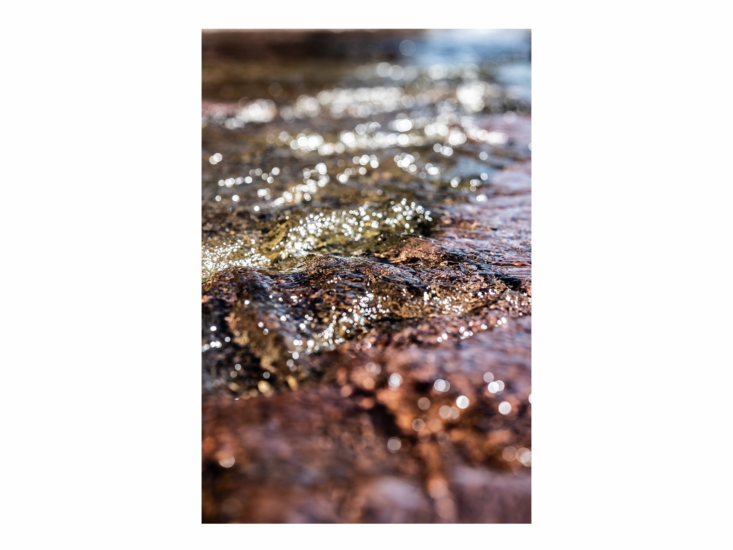tiny-tides-shimmering-water-nature-print.jpg