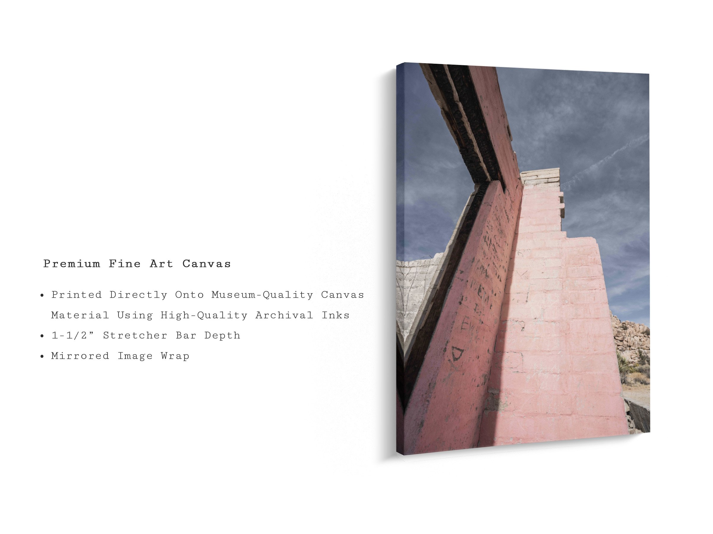 still-standing-joshua-tree-pink-wall-canvas-print.jpg