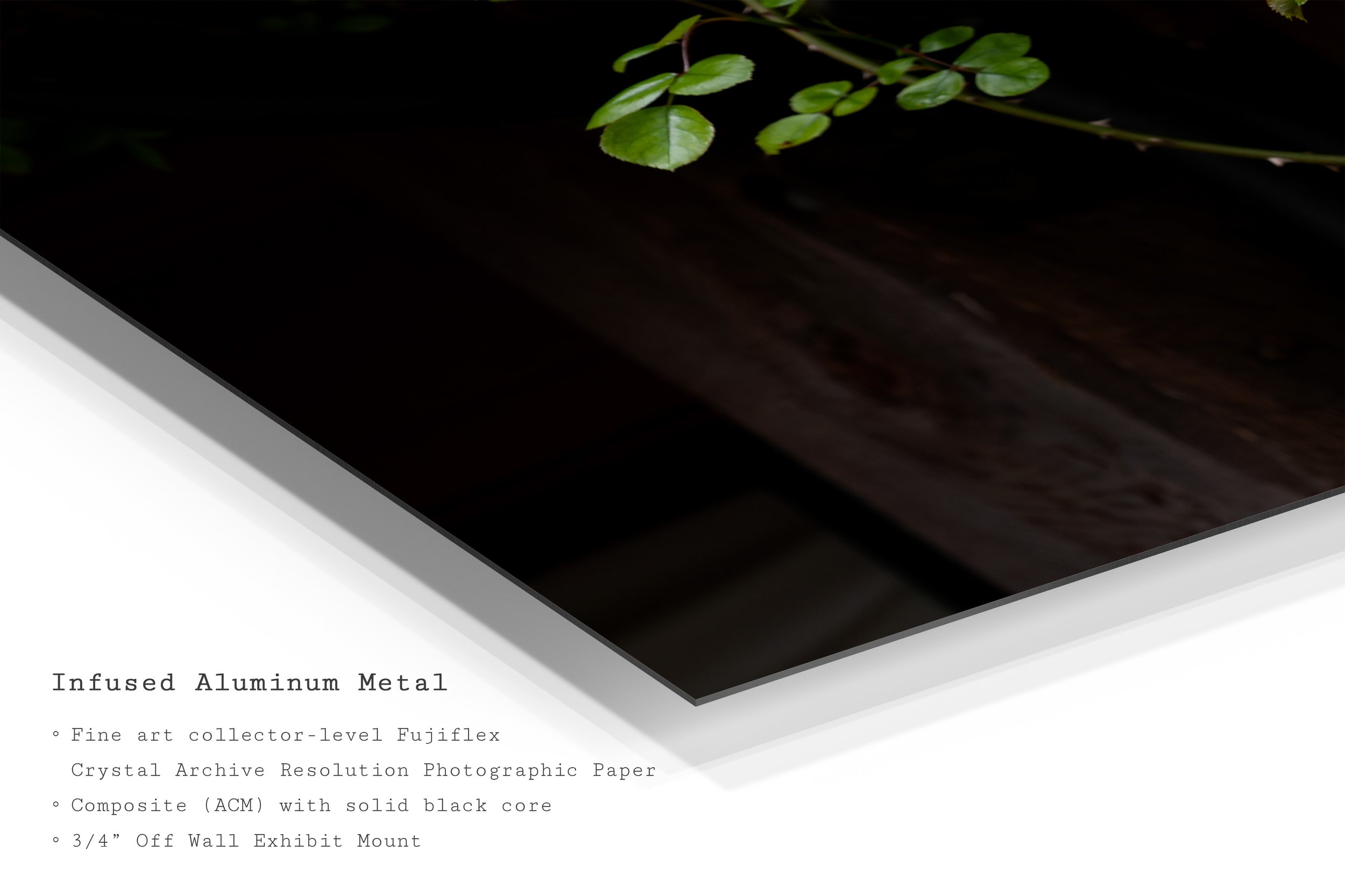 rose-vine-botanical-metal-art-wall-print.jpg