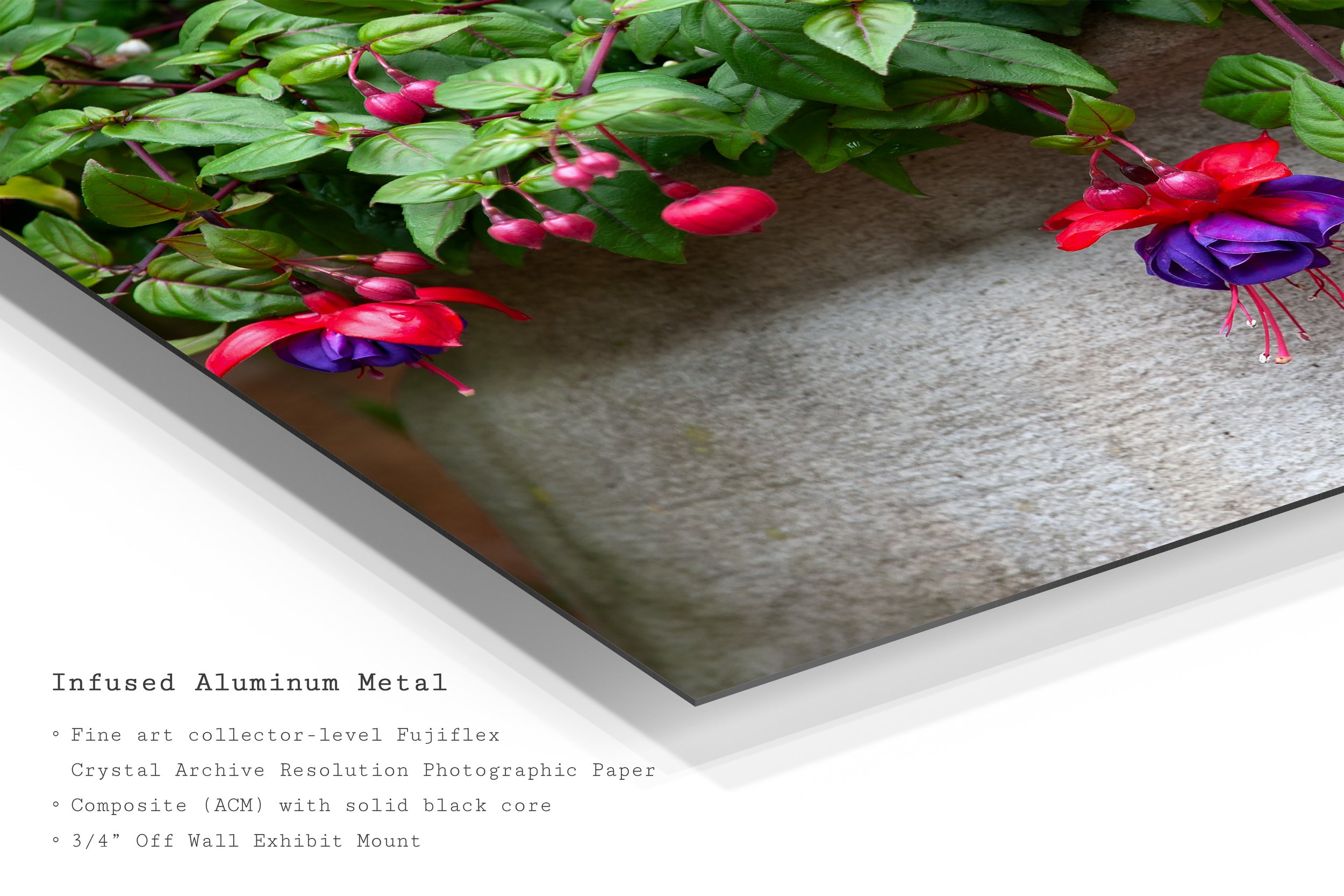 red-purple-fuchsia-flower-metal-art-print.jpg