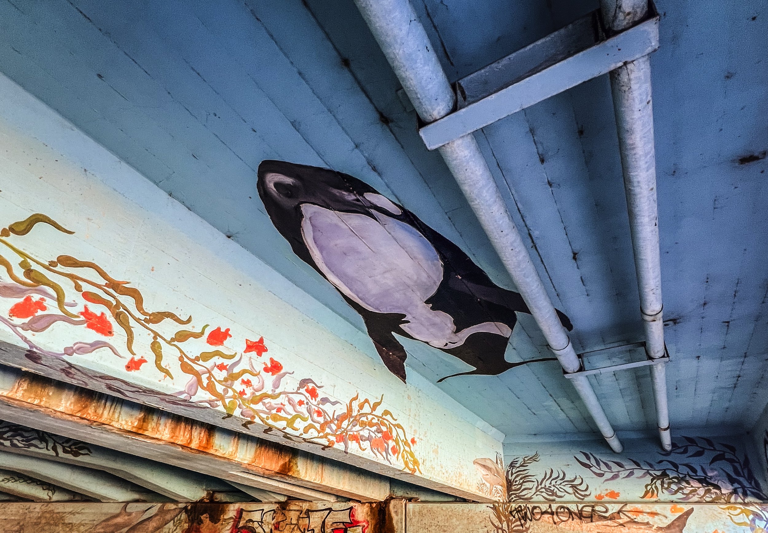 overpass-ocean-mural-graffiti-art-photograph-print.jpg