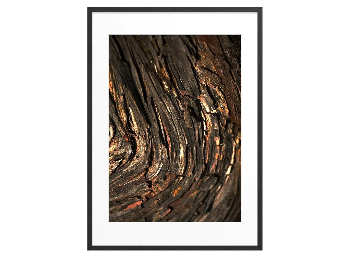 bronze-root-abstract-tree-bark-black-art-print-crop.jpg