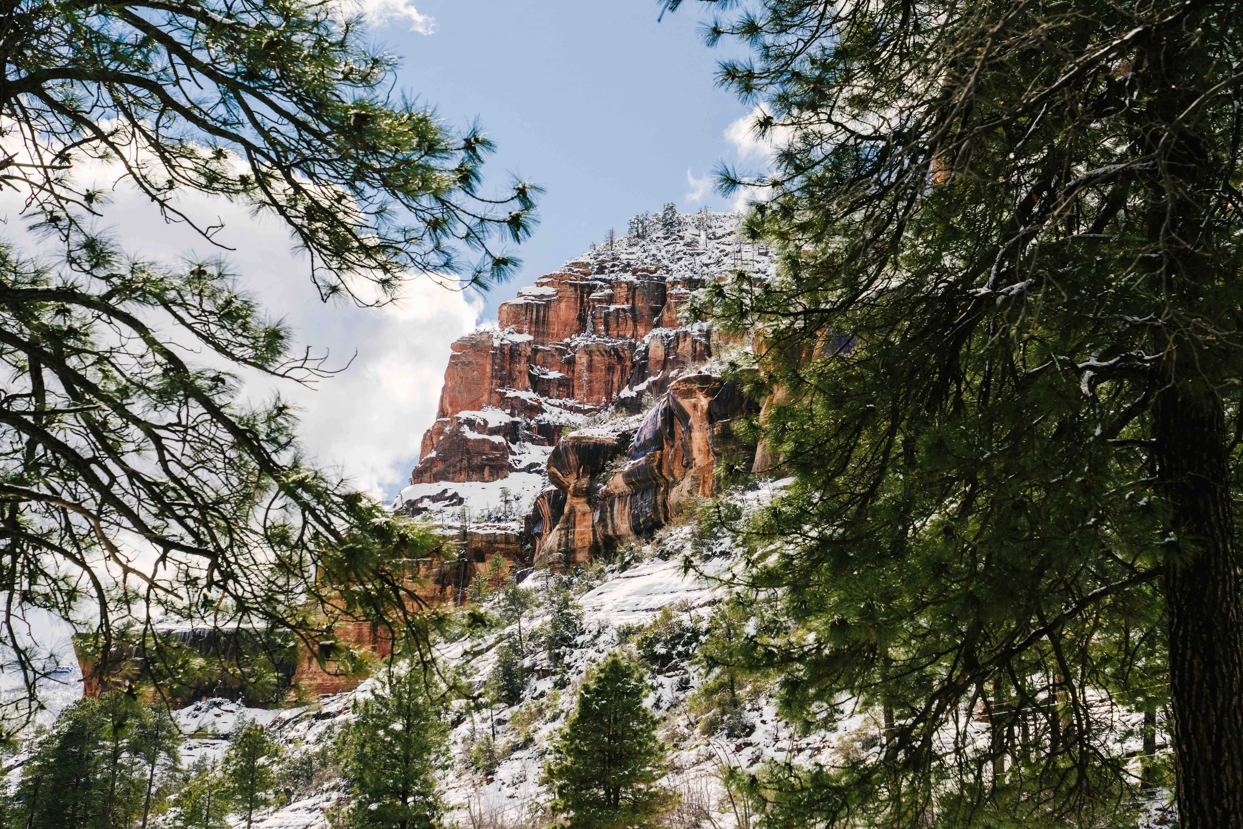 Canyon Crown.jpg