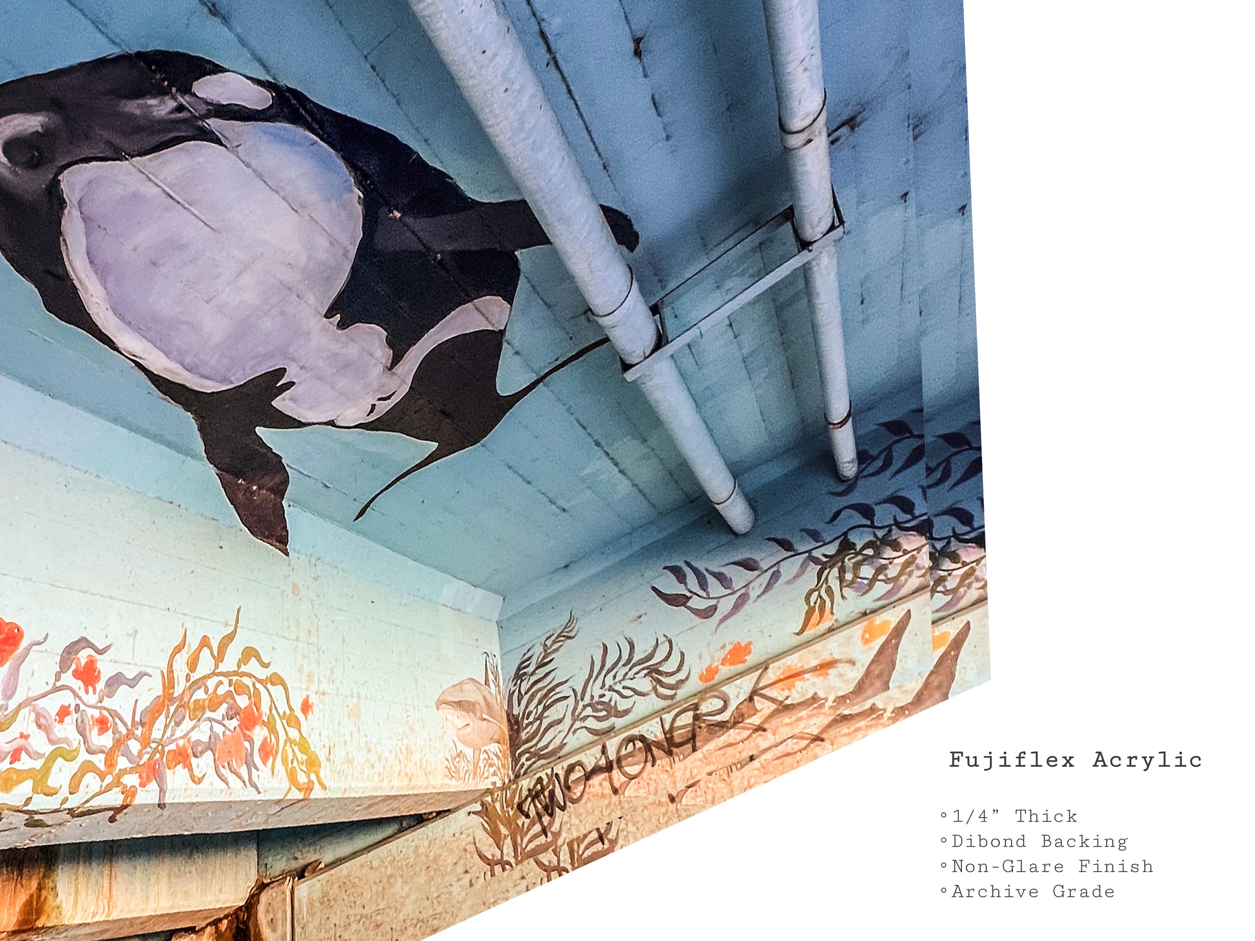 overpass-ocean-mural-graffiti-photograph-acrylic-print.jpg