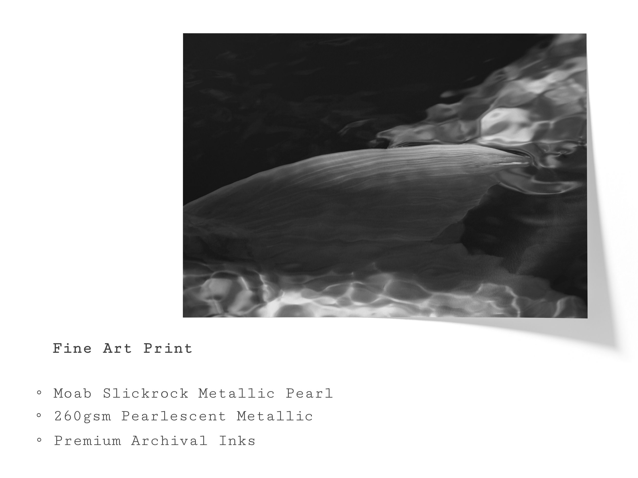 koi-black-white-minimalist-underwater-fine-art-print.jpg