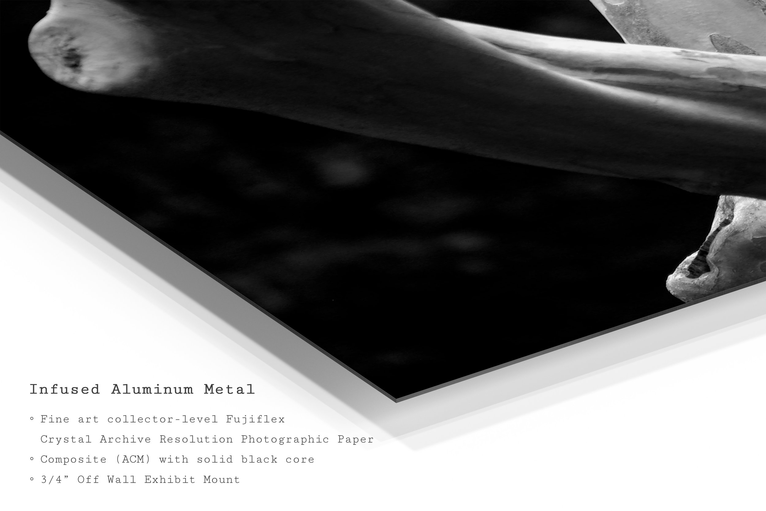 twisted-grain-bw-tree-trunk-metal-art-print.jpg
