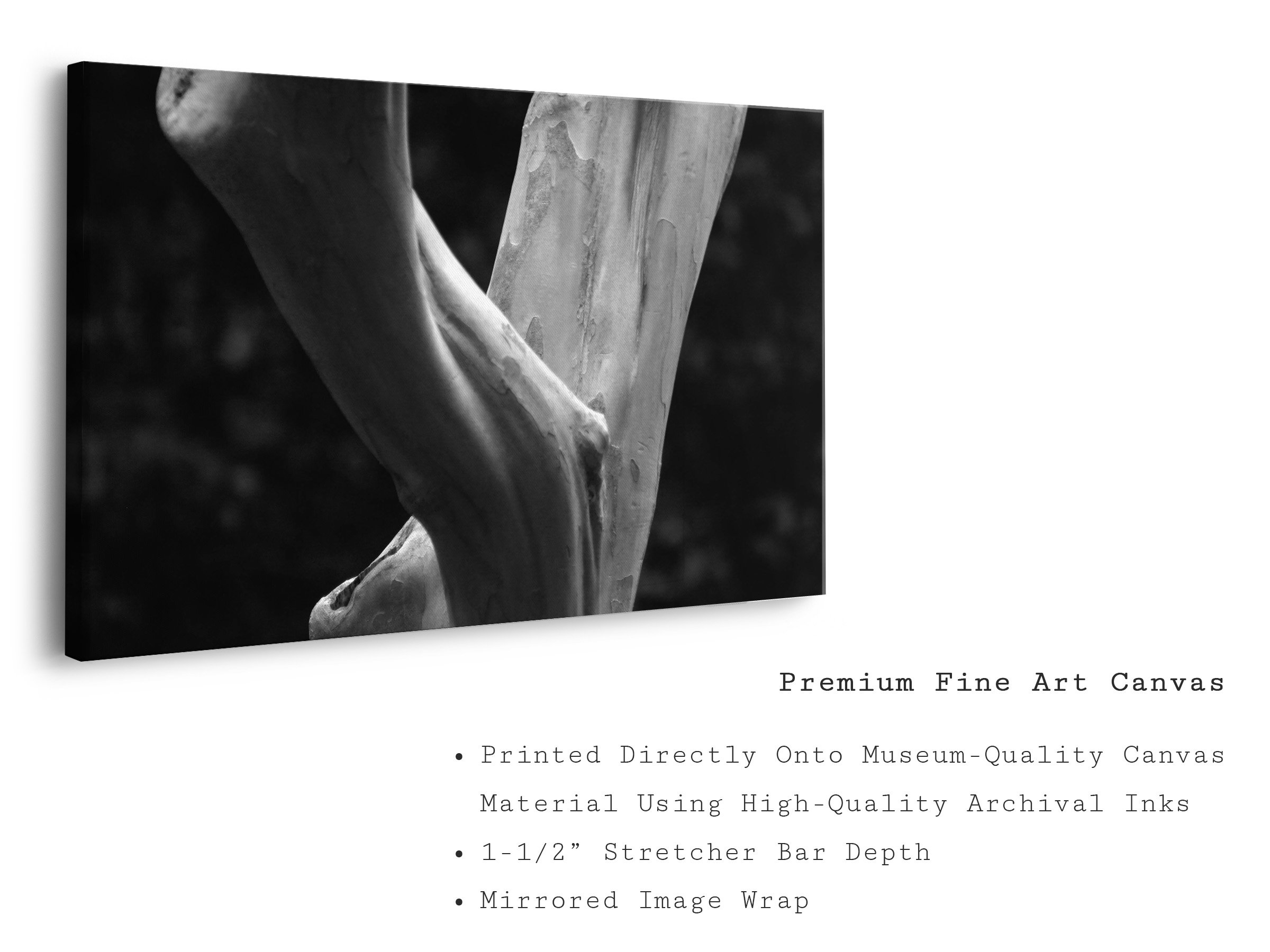 twisted-grain-bw-tree-trunk-canvas-art-print.jpg