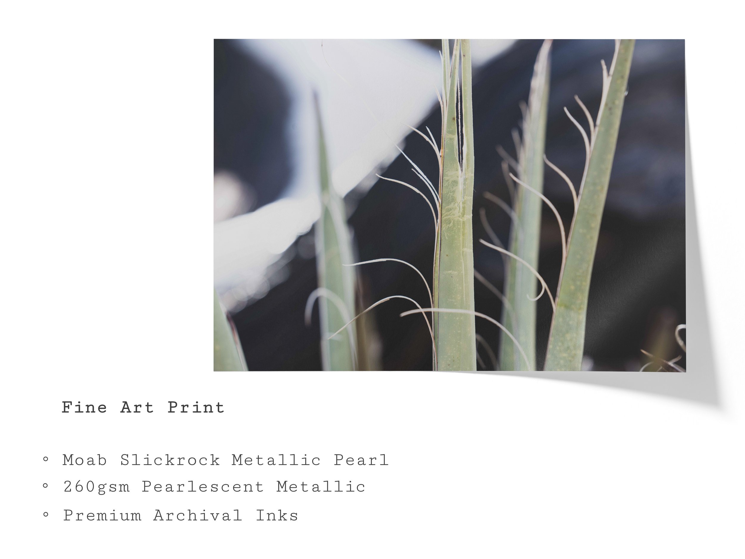 Fine Art Print - Landscape.jpg