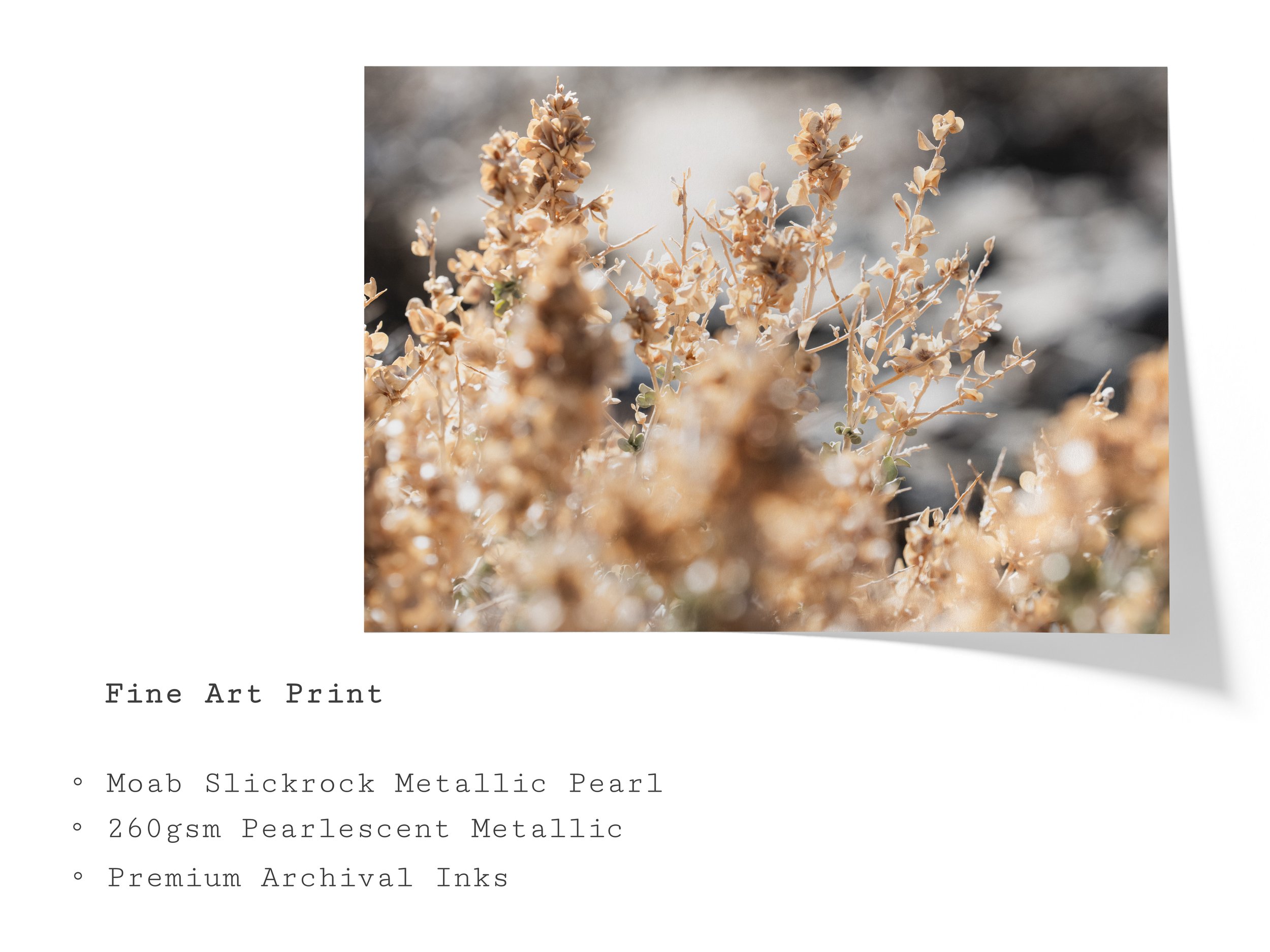 Fine Art Print - Landscape.jpg
