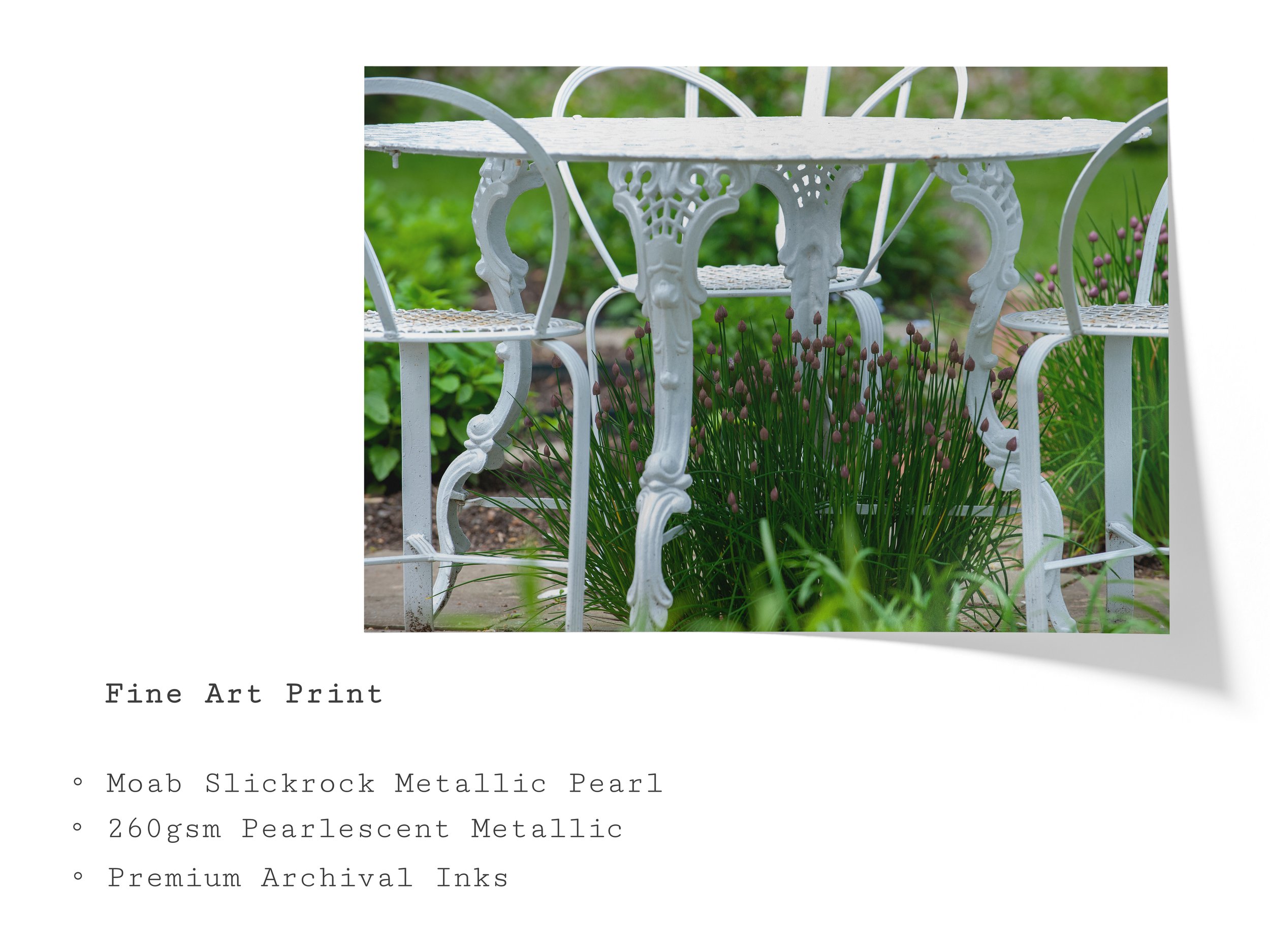 garden-table-chive-blossoms-fine-art-print.jpg