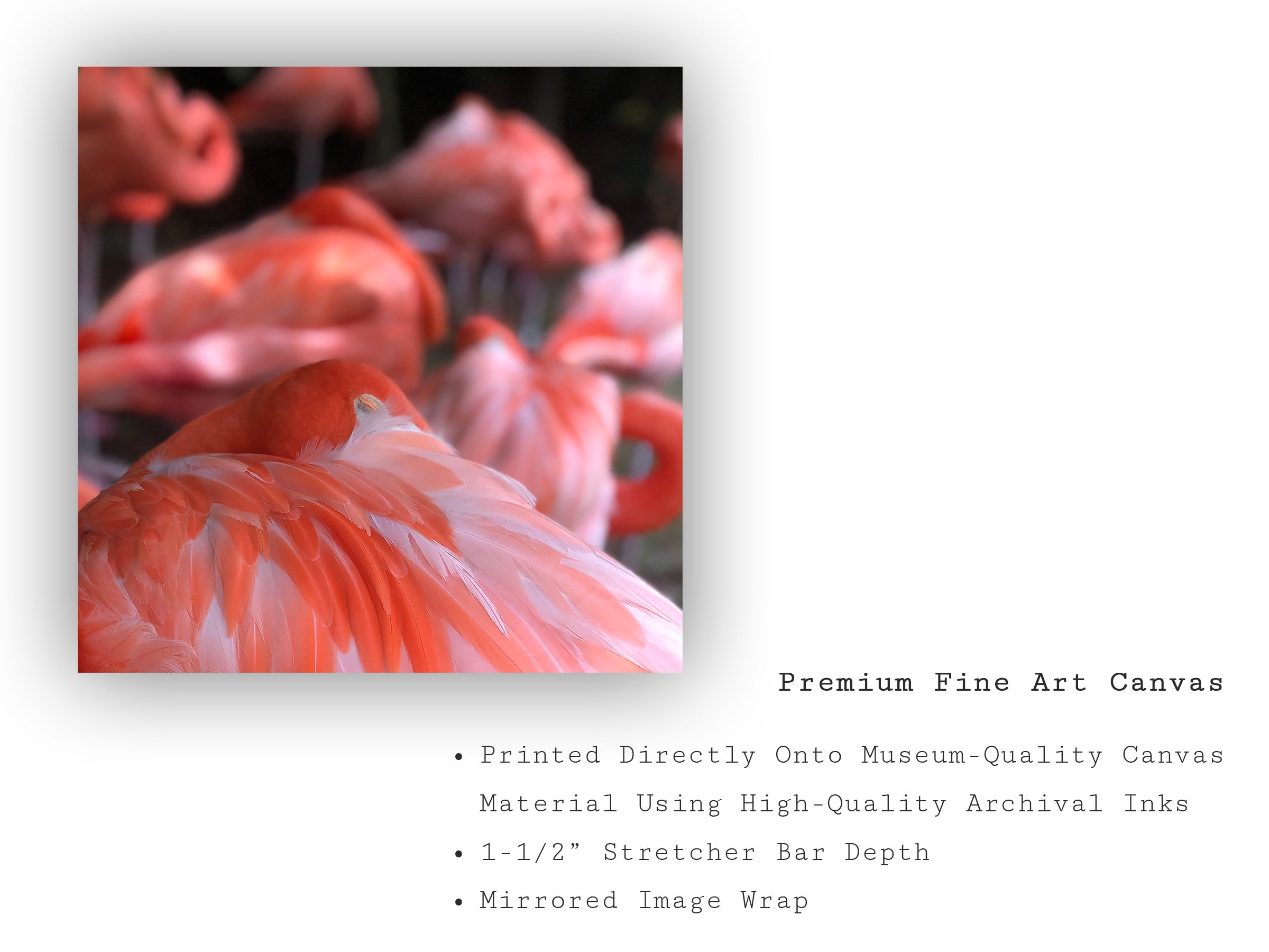 pink-flamingo-closeup-feather-canvas-art-print.jpg