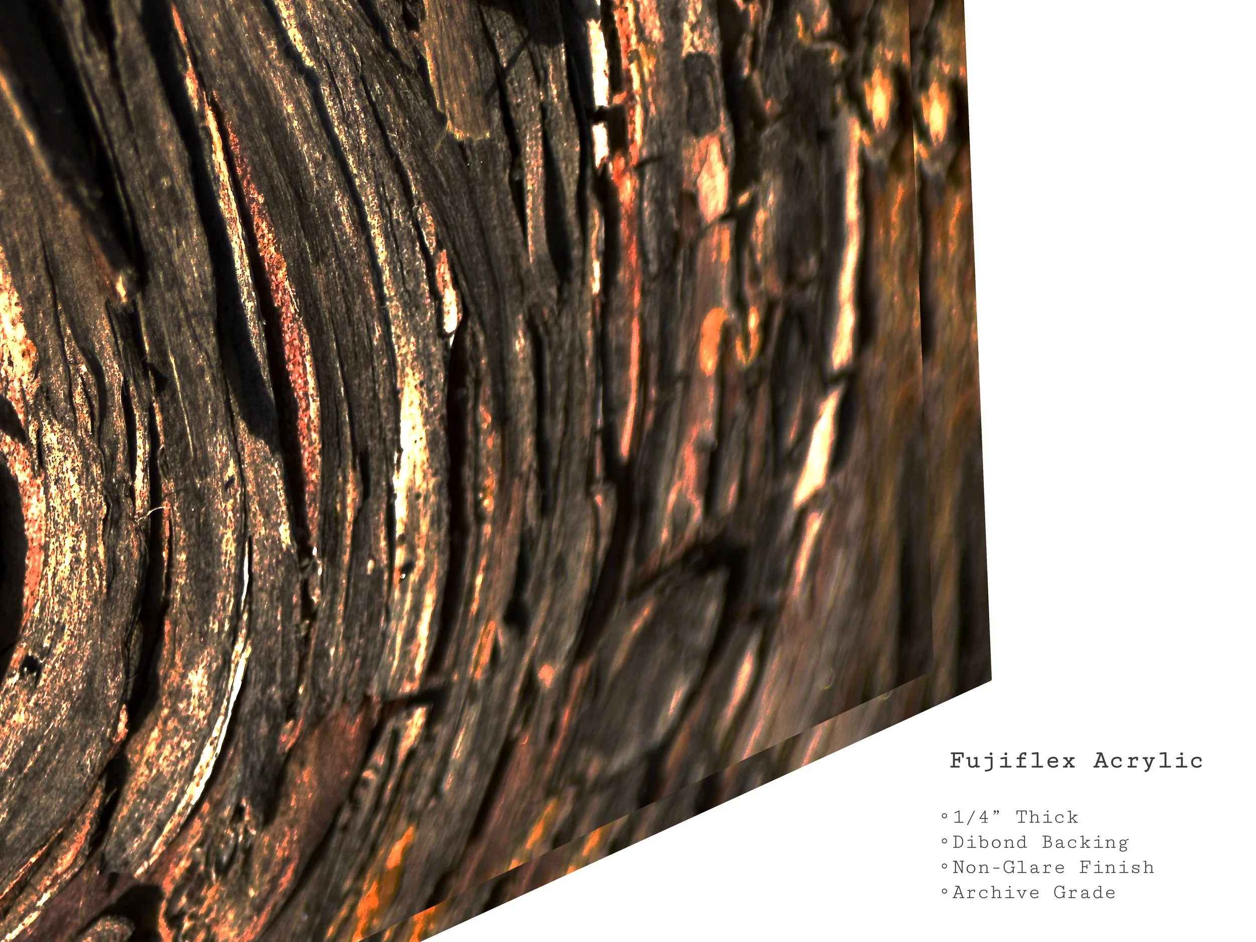 bronze-root-abstract-tree-bark-arcylic-art-print.jpg