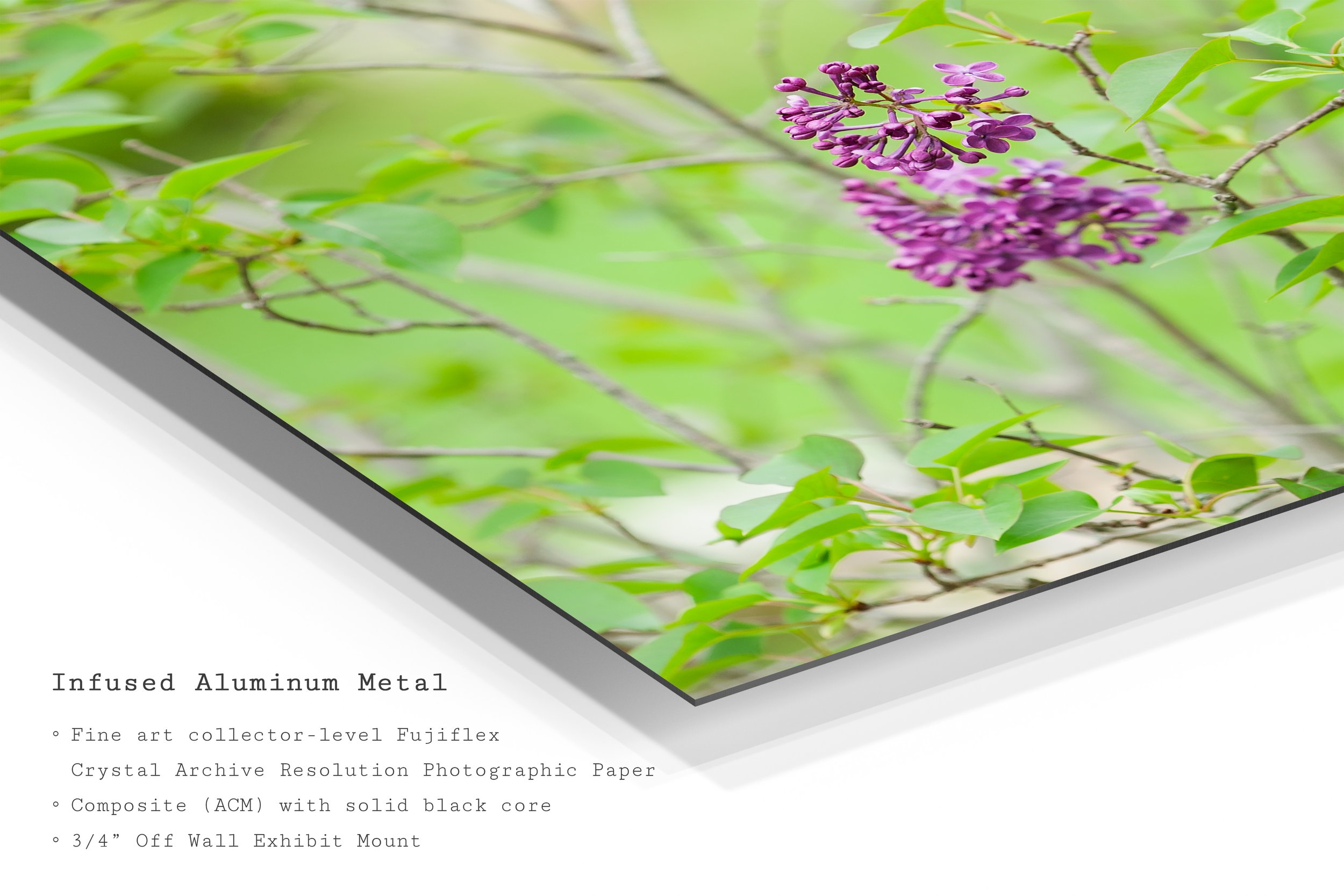 lilac-bloom-spring-photography-metal-art-print.jpg