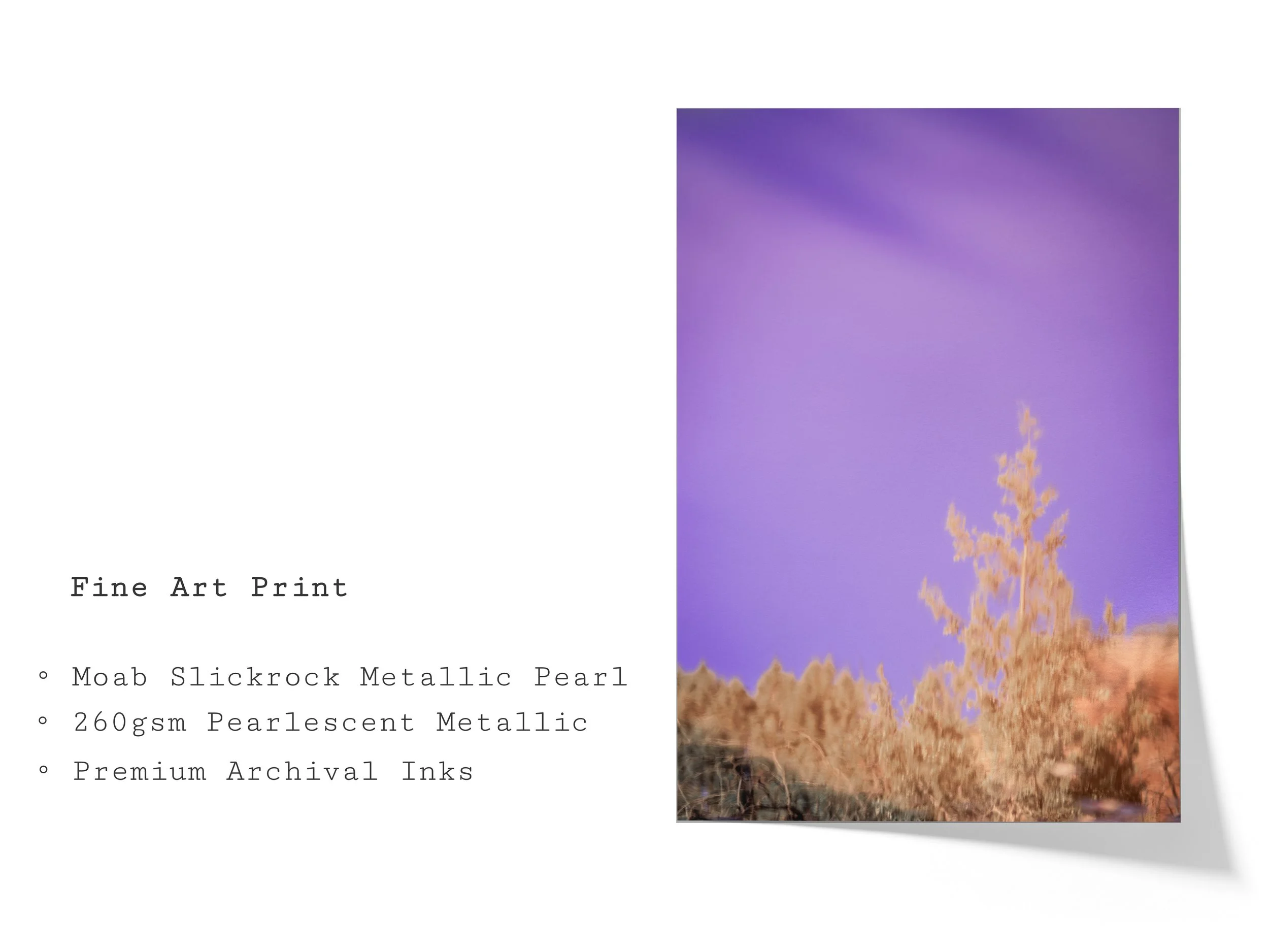 lavender-light-abstract-desert-reflection-fine-art-print.jpg
