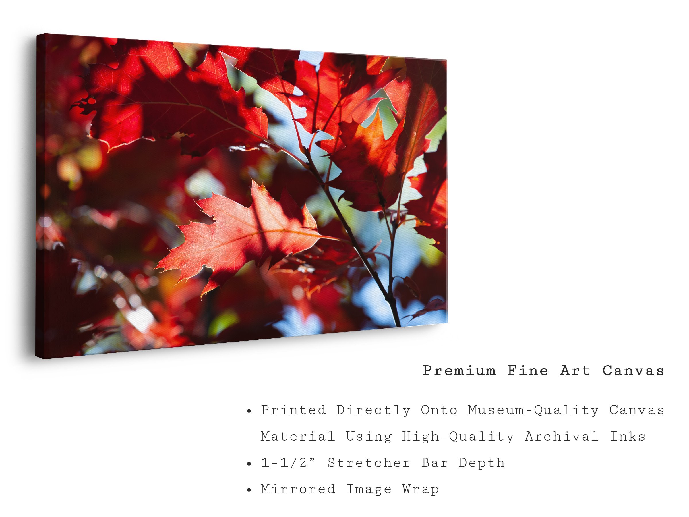 z-fall-crimson-autumn-leaves-canvas-art-print.jpg