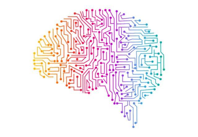 Operation Patient Outcomes