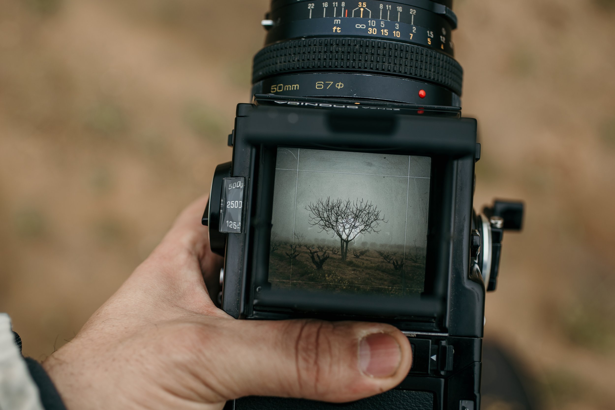 Chema de la Cierva web oficial - fotografía analógica de paisaje y retratos.