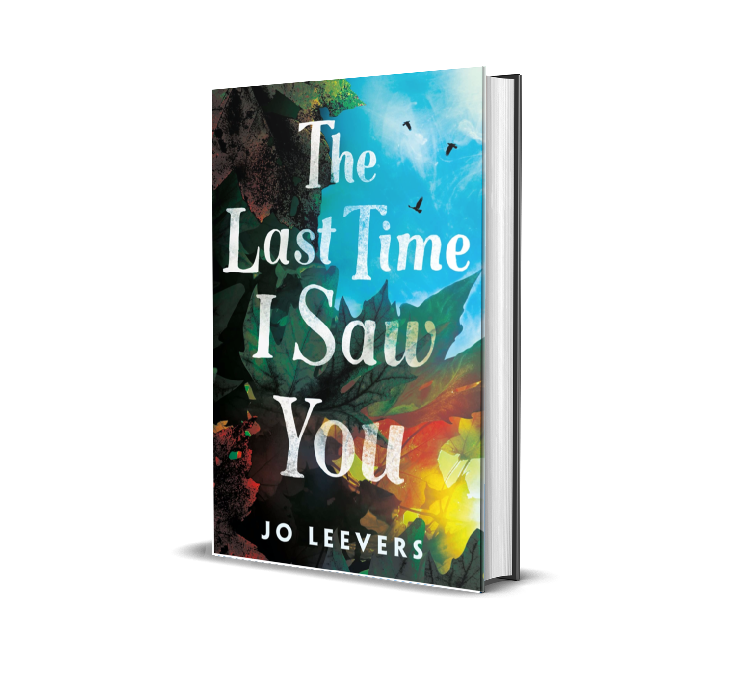 Book cover titled 'The Last Time I Saw You' by Jo Leevers, featuring vibrant autumn leaves and a bright blue sky with birds.