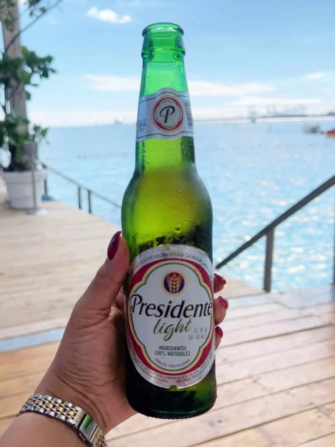 My heart is in two places right now.

CDMX has me glowing, but that quick DR weekend to see Bad Bunny&hellip; whew. That one is still sitting heavy in the best possible way.

Here&rsquo;s a little DR photo/video dump. For all the details head to the 