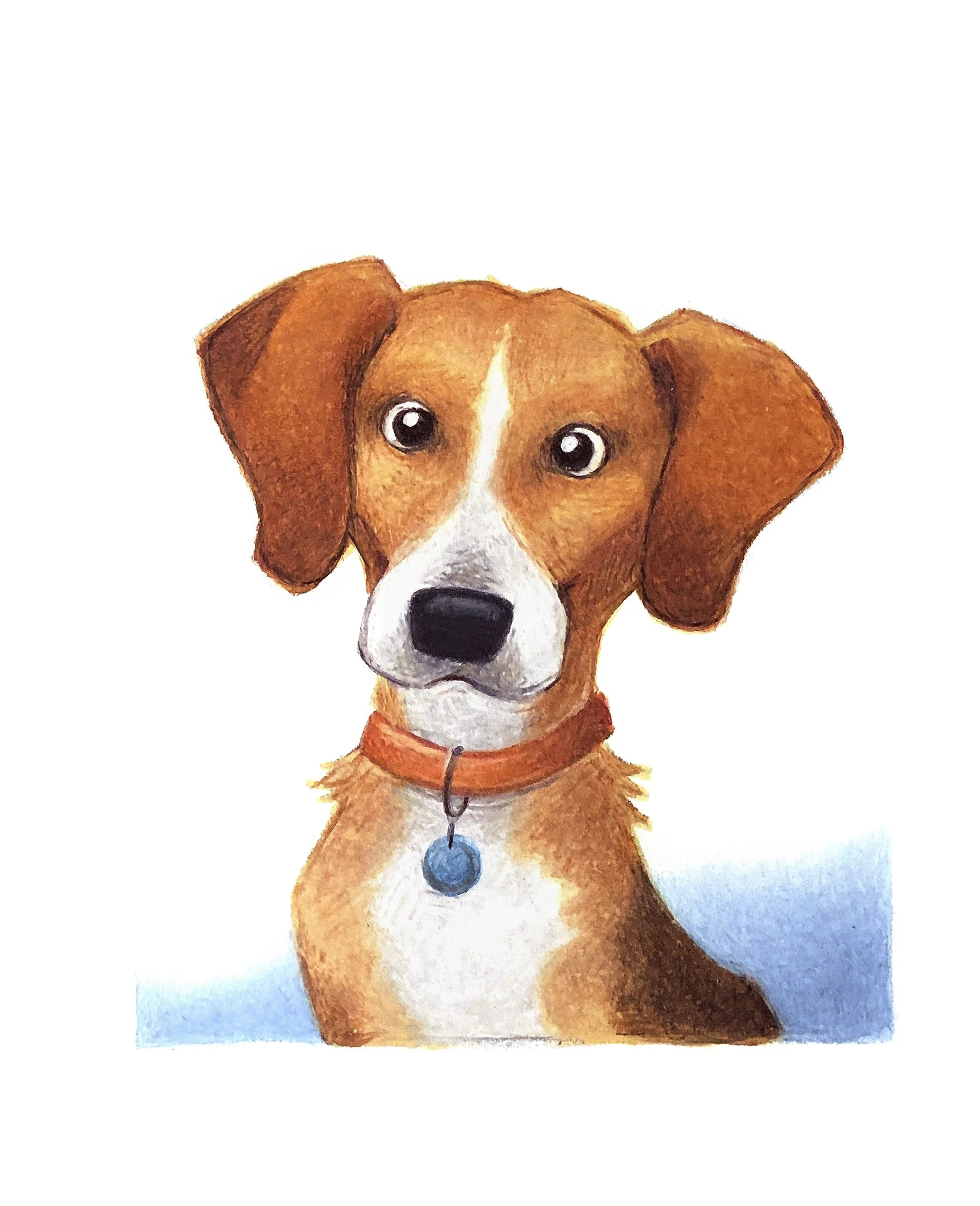 Pet Portrait of Bo