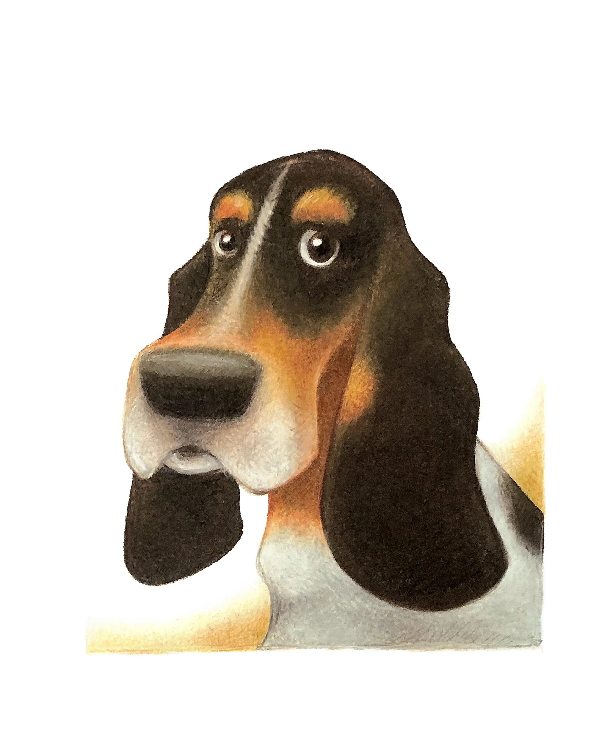 Pet Portrait of Penny
