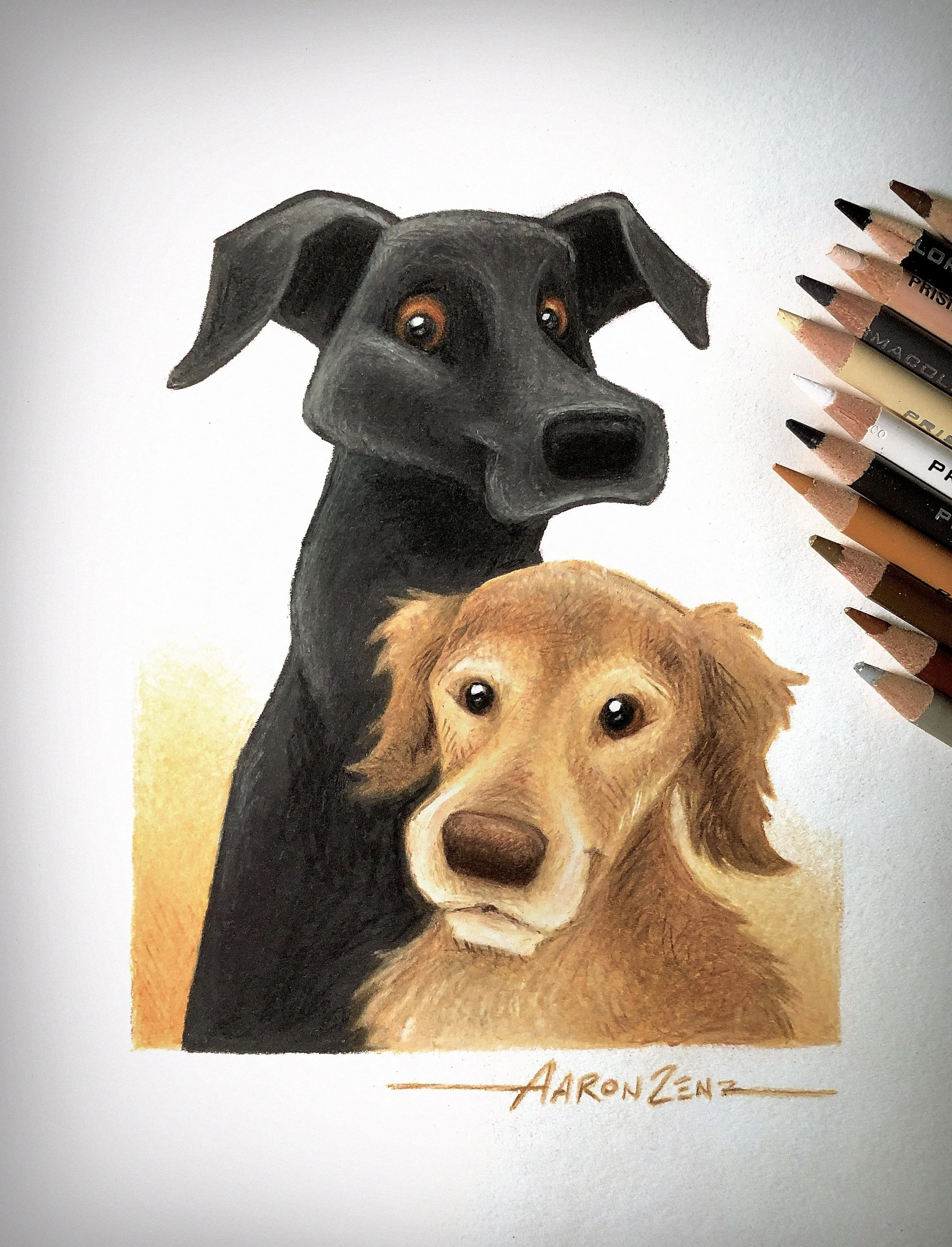 Shade & Jasmine