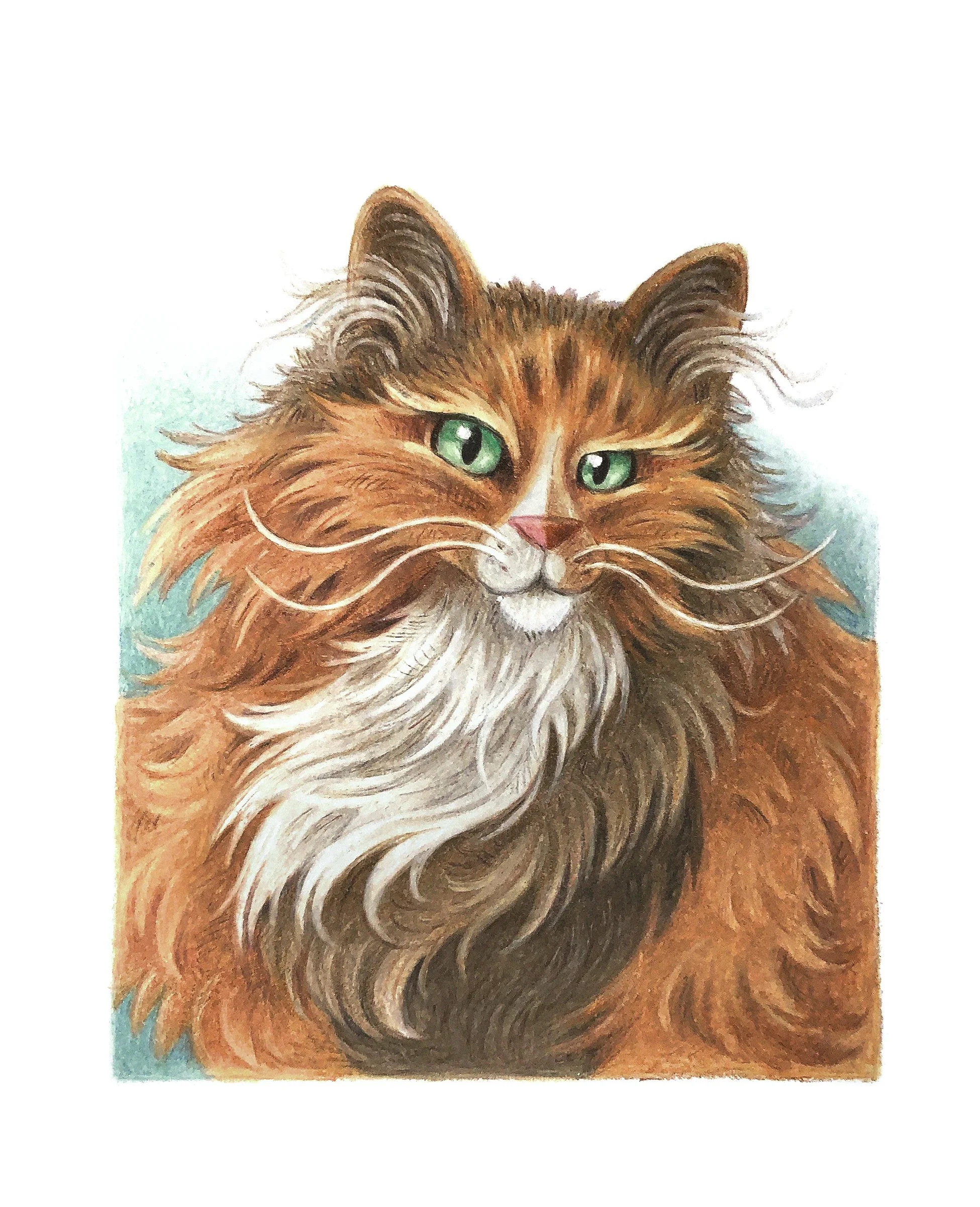 Pet Portrait of Dandelion