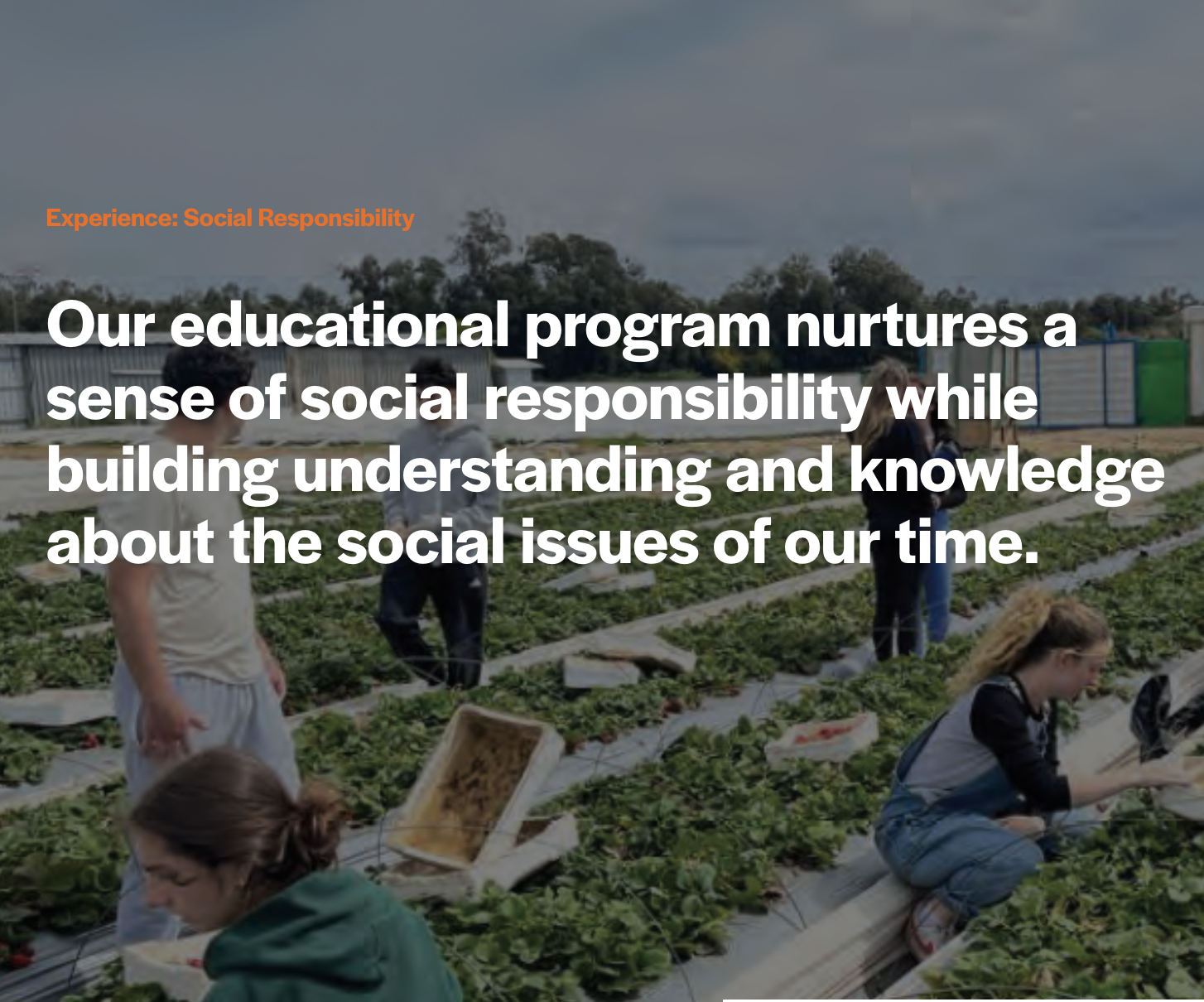 People working in a farm or garden, planting or harvesting crops.