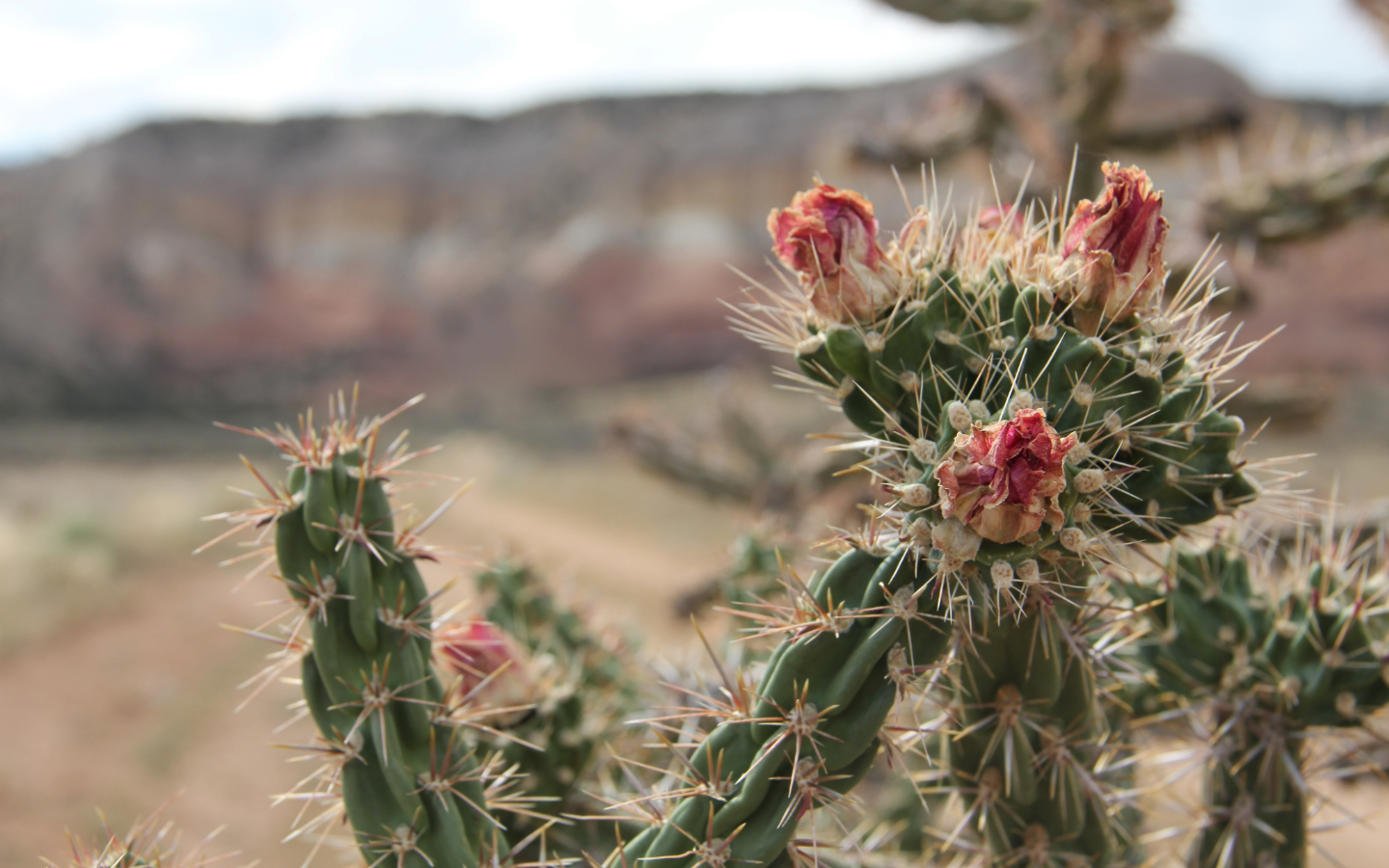 Private Investing, “Selection Effects” and the Best Sushi Chef in Tokyo