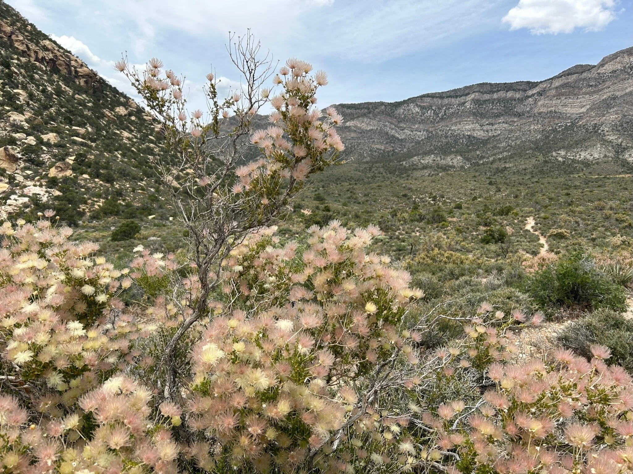 Front-Load Your 529, Part Two: The “How”