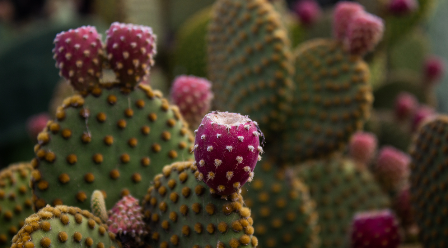 The “Investing” Side of Halal Investing