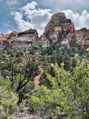 Tax Alpha Decay: Why You May Not Be Getting Tax Loss Harvesting With Market Volatility&nbsp;