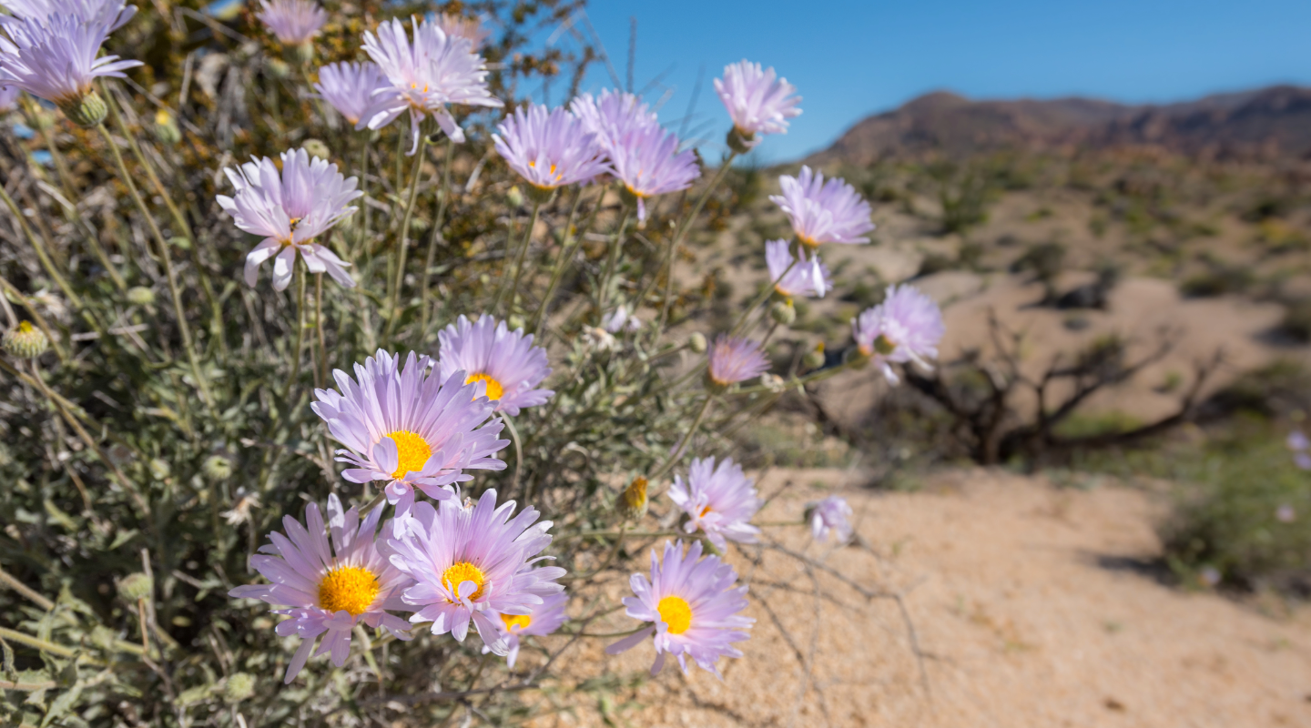 Financial Moves For Mothers Who Are Not Married