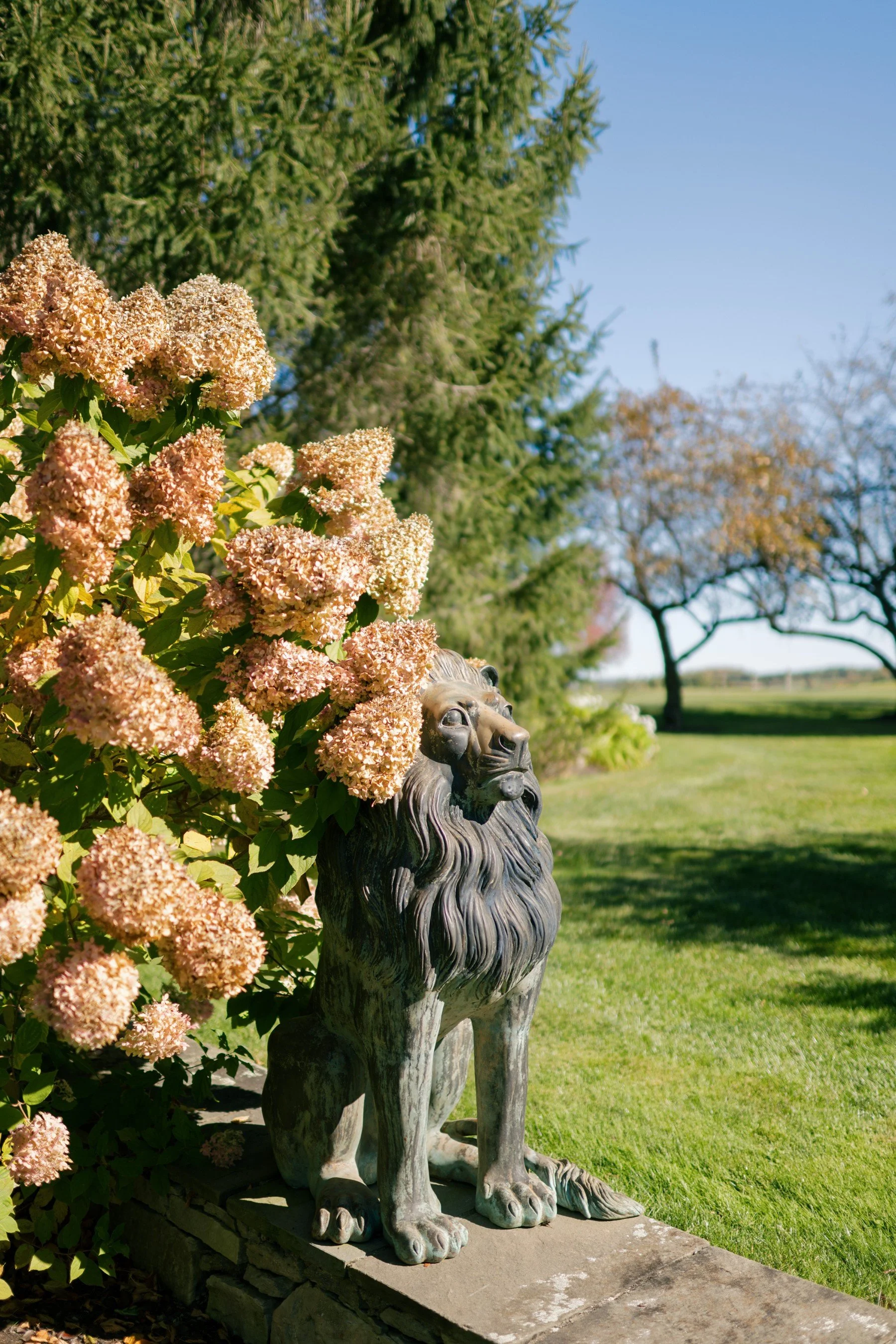 lion-rock-farm-wedding-5842.JPG