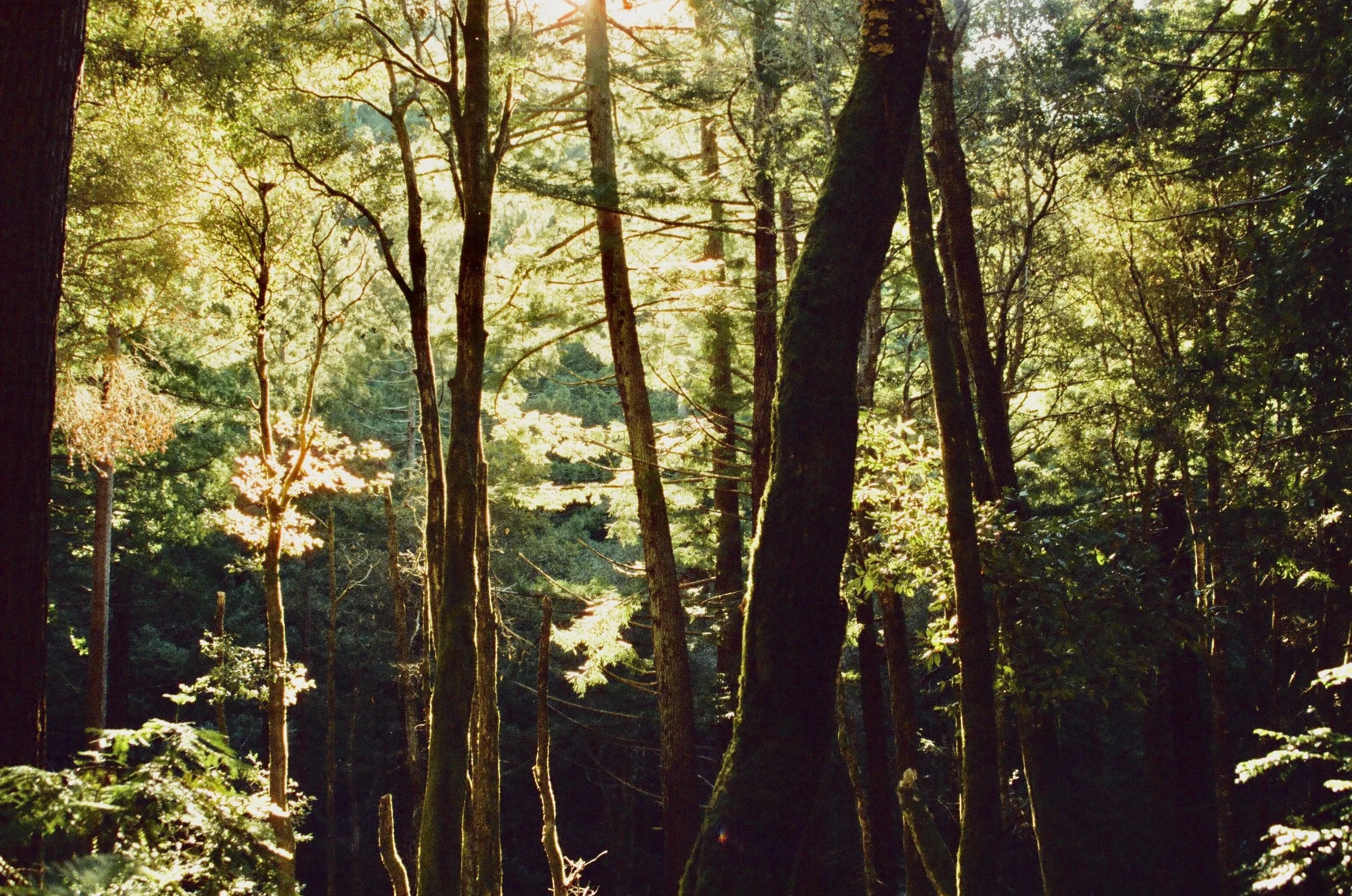 000034220020.jpg