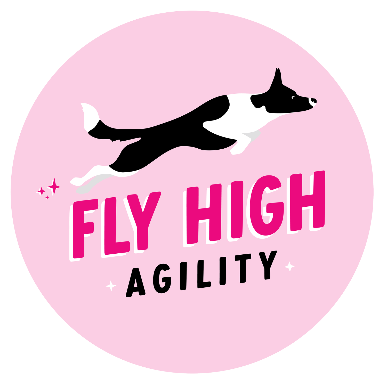 Fly High Agility