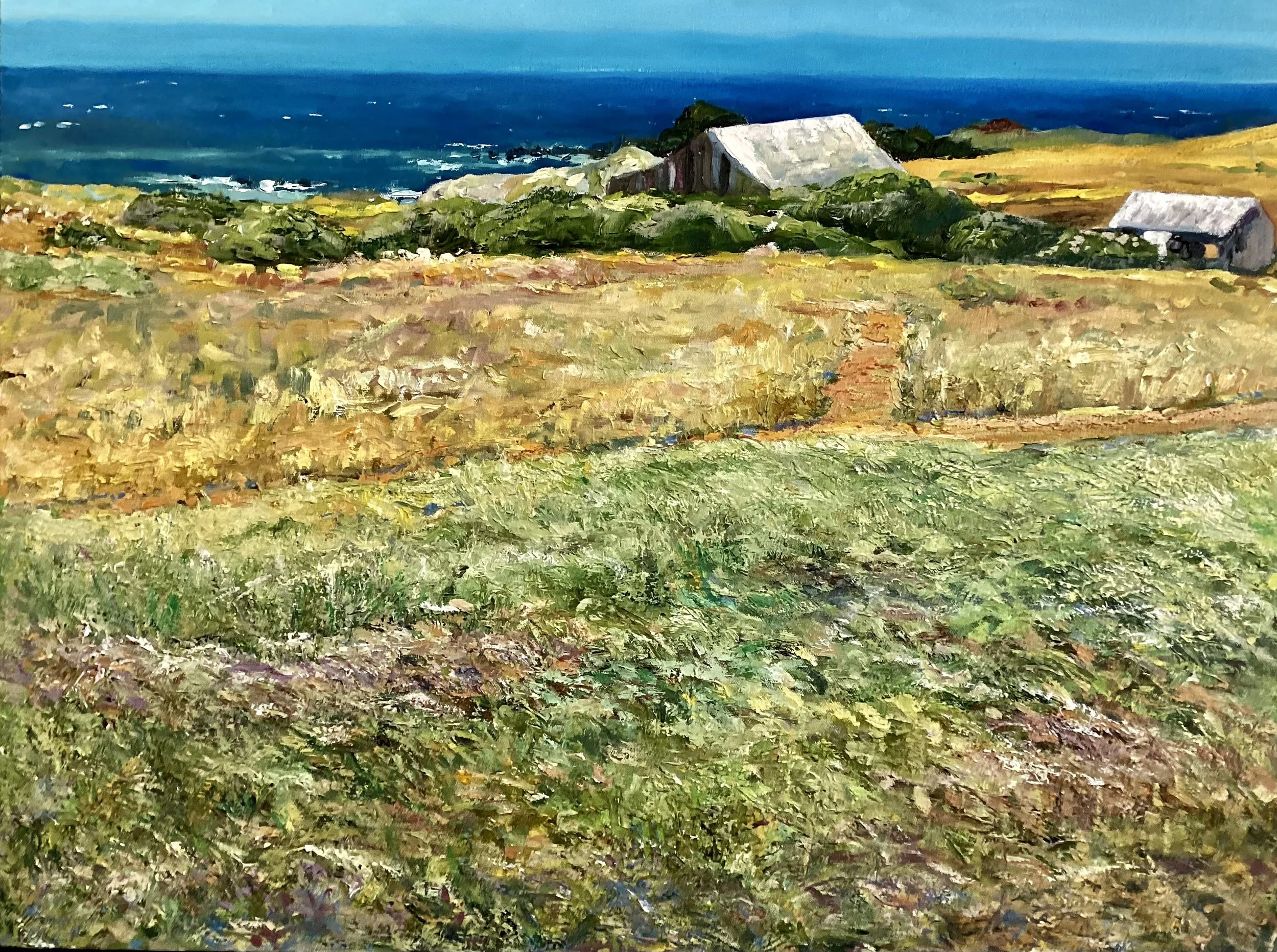 Guild Artists — Arts Guild of Sonoma