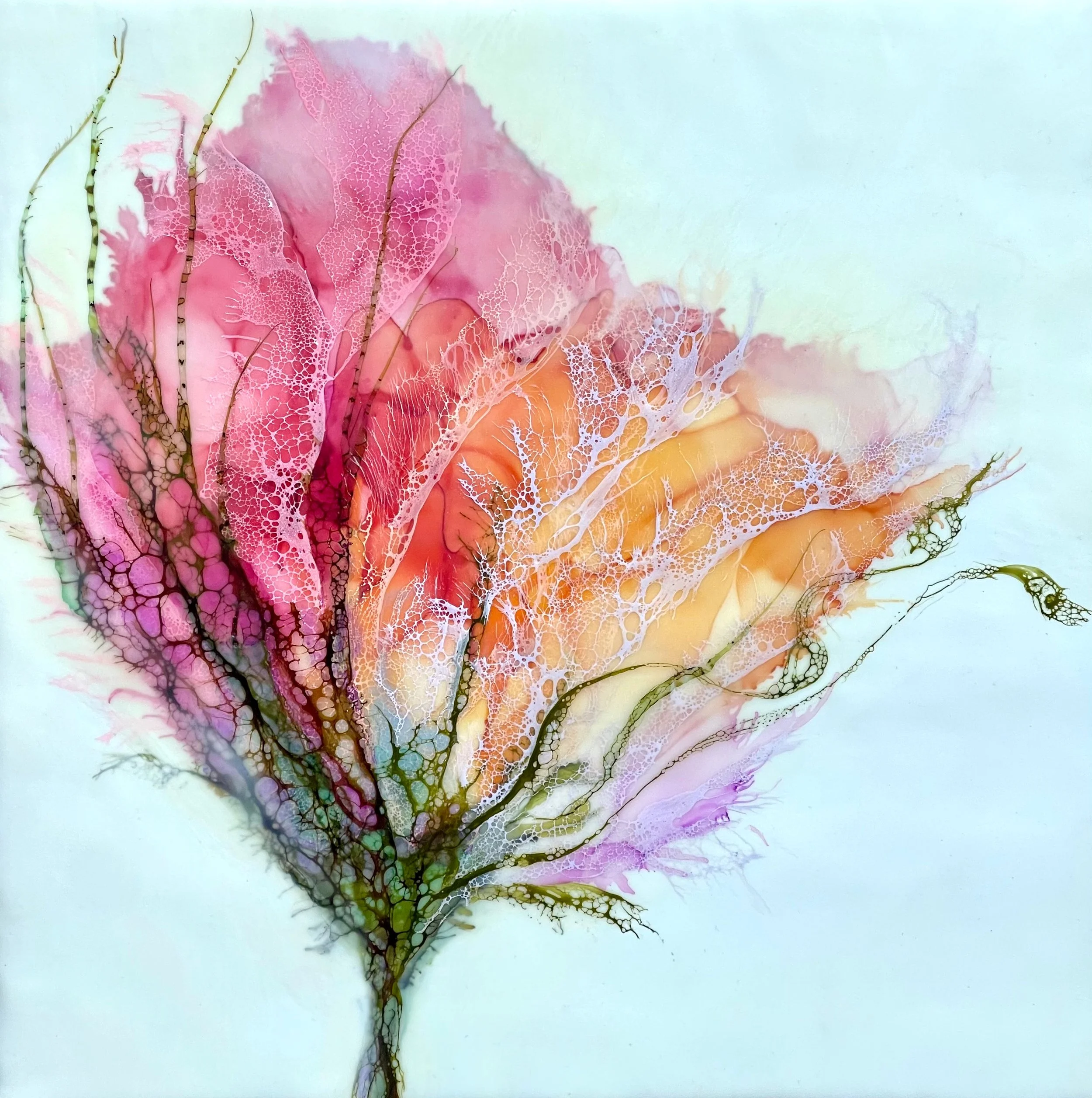 K Pulis Paeonia_edited.jpg