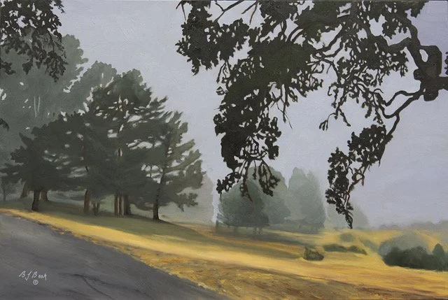 BJ Fog on the Hill-web.jpeg