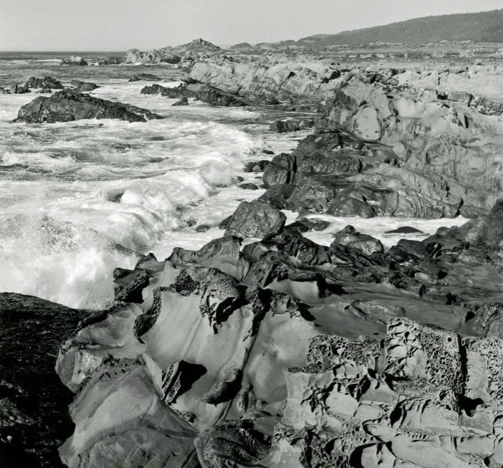 Salt Point copy.jpg