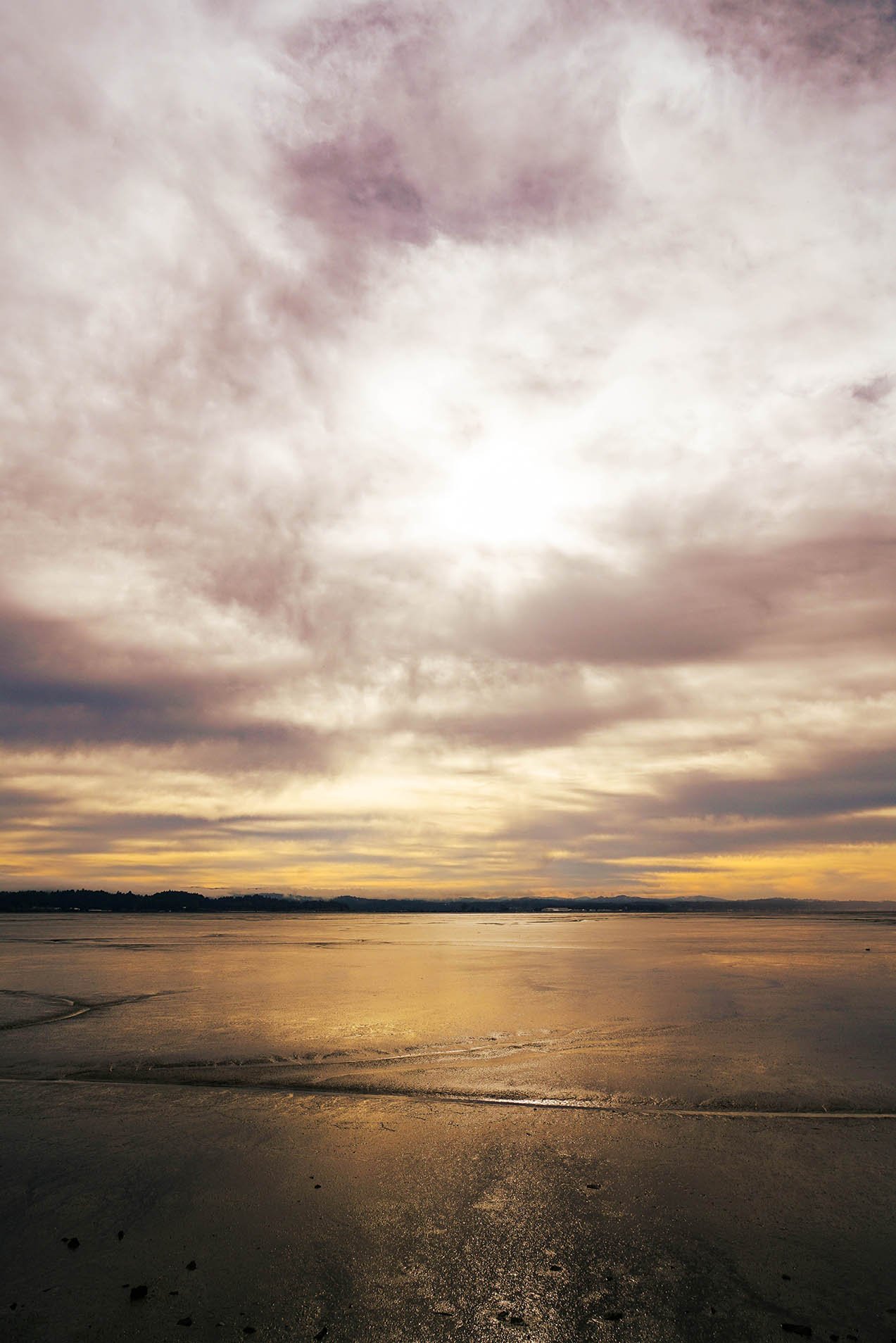 golden humboltbeach copy.jpg