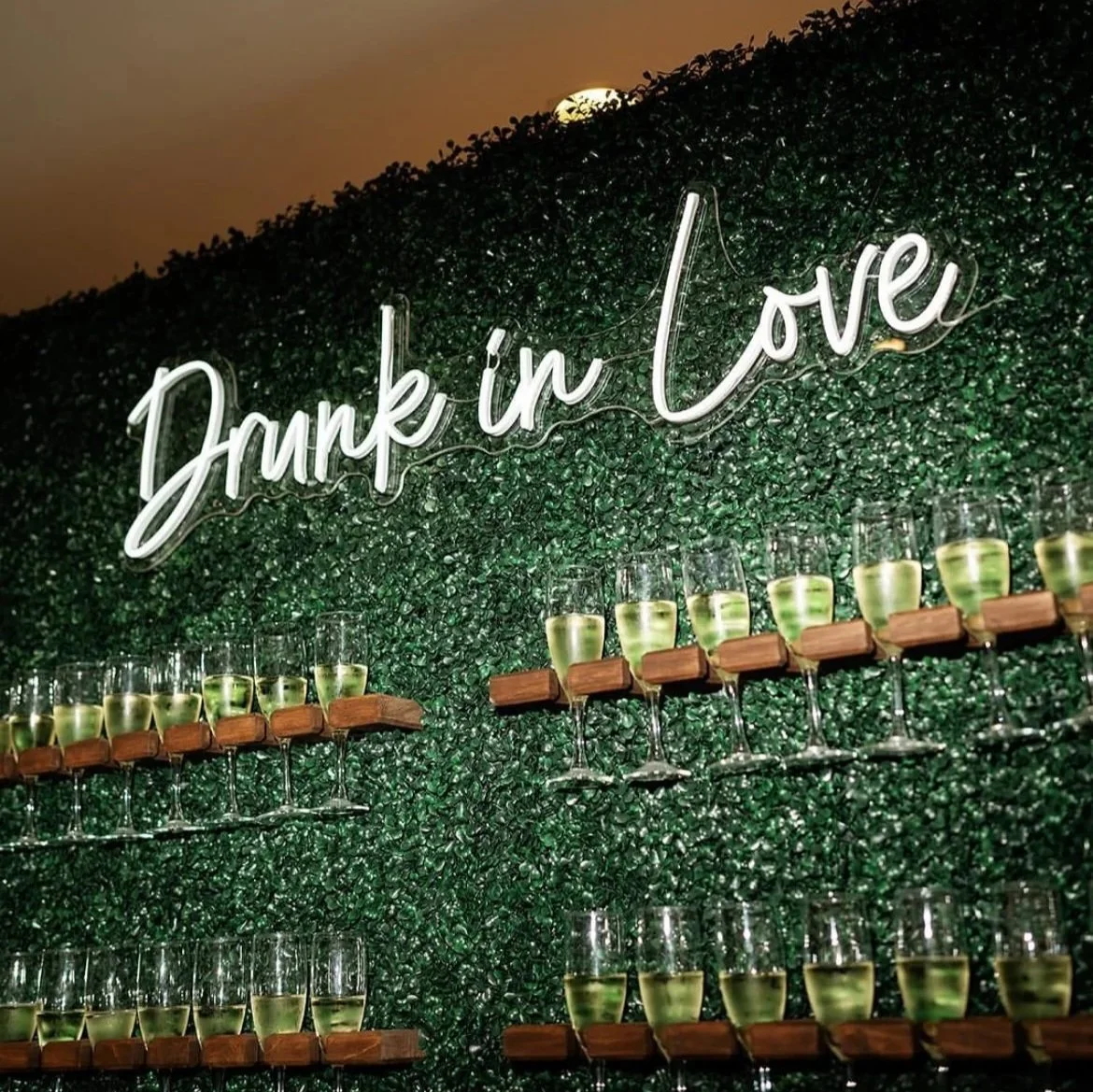10 foot long boxwood hedge wedding champagne welcome wall that has glass racks holding champagne flutes holding champagne and featuring a "Drunk in Love" script font neon sign