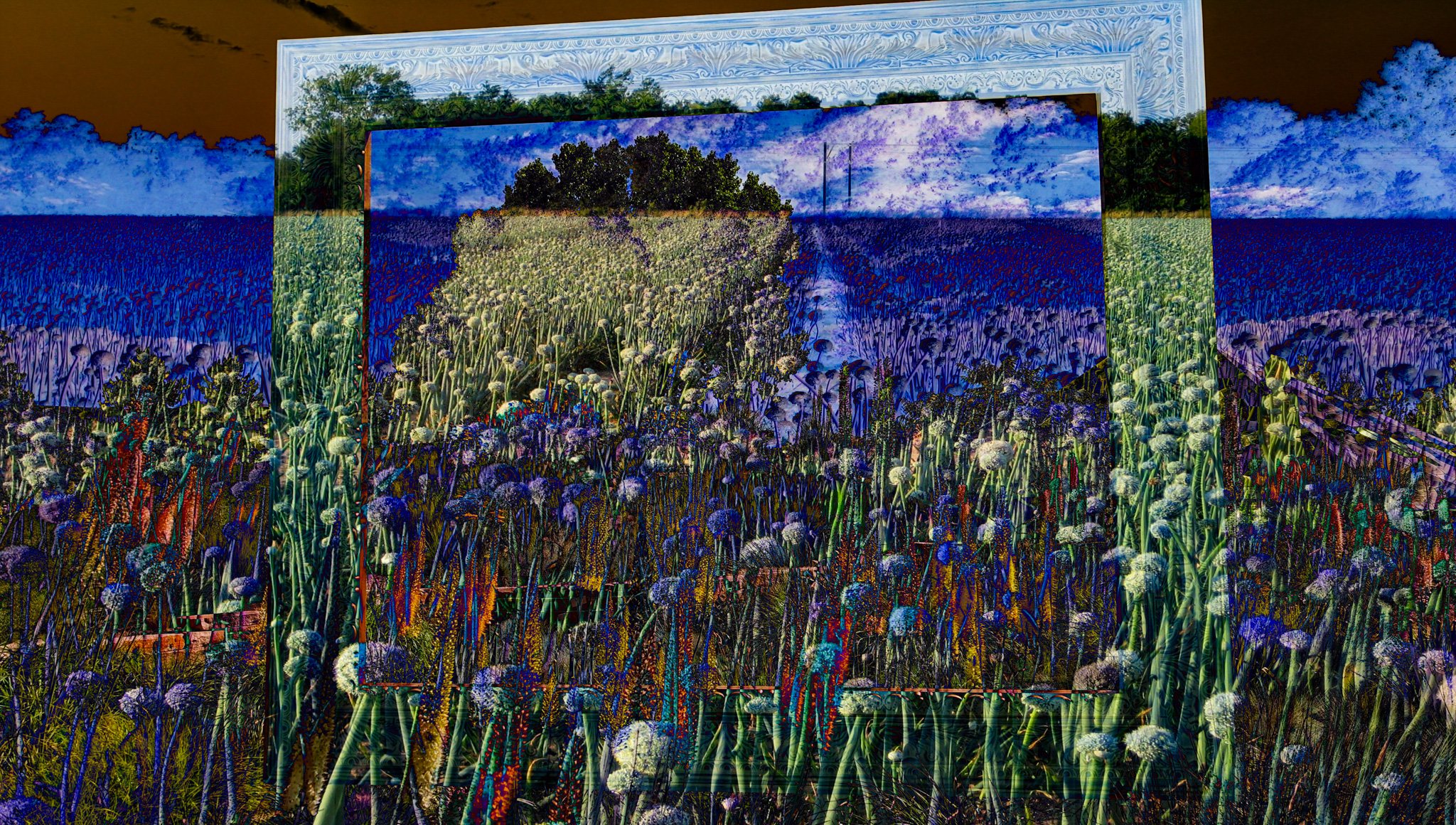 FRamed Field.jpg