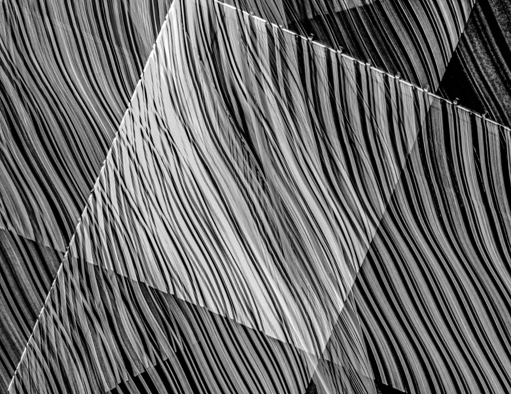 DSC_6206-2.jpg