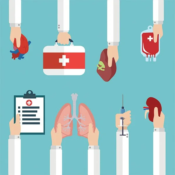 Glossary of Organ Transport Terms: A Resource for Clinical Teams and Coordinators