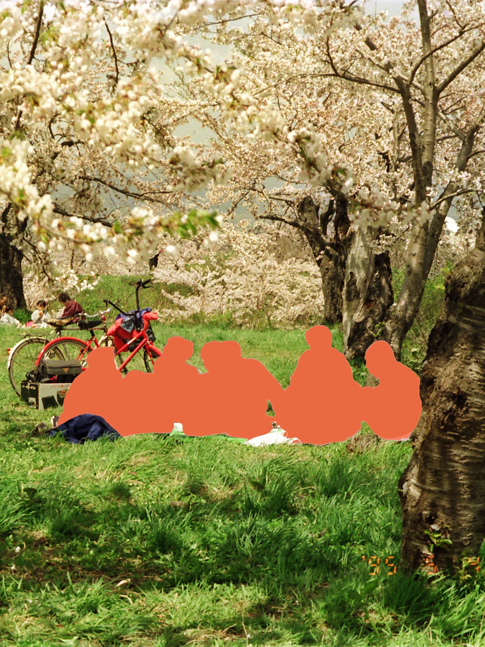 hanami v3.jpg