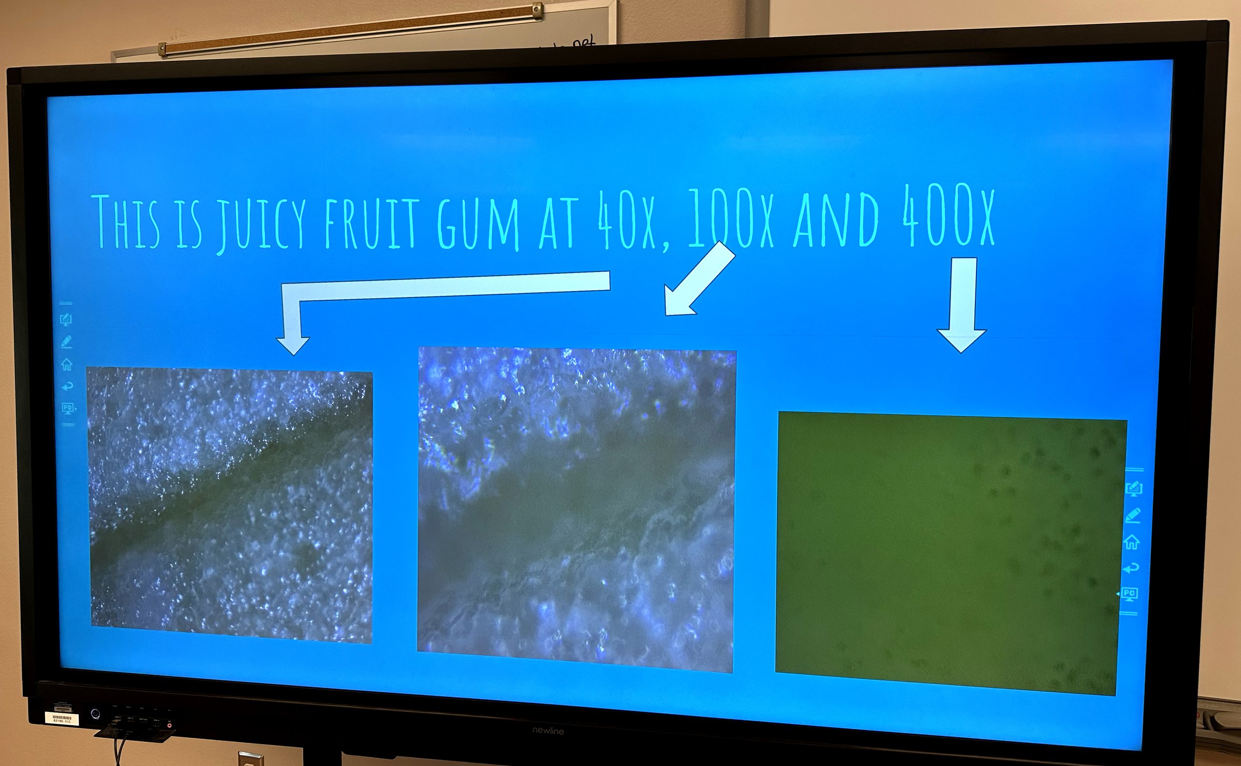 juicy fruit gum.jpg