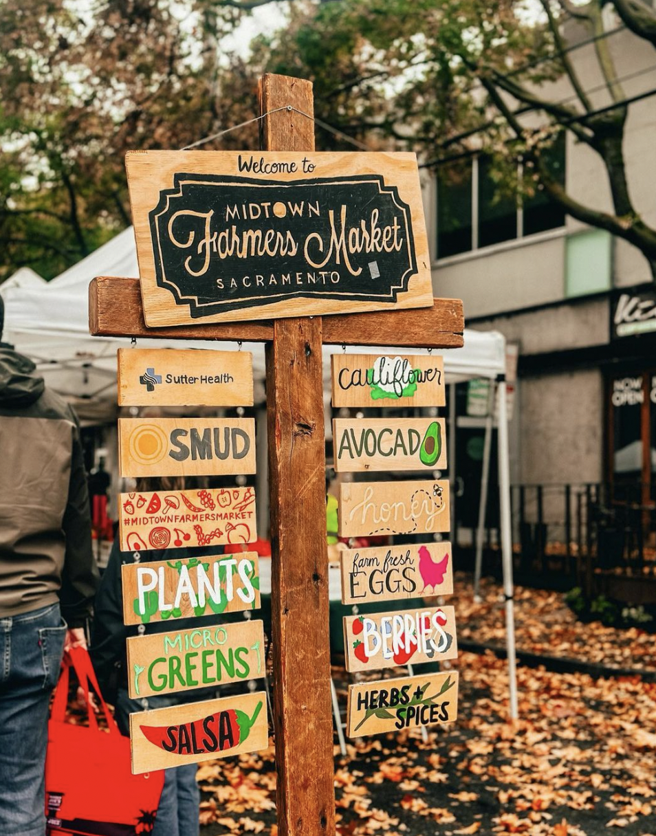 Screen Shot 2024-11-08 at 10.06.24 AM.png